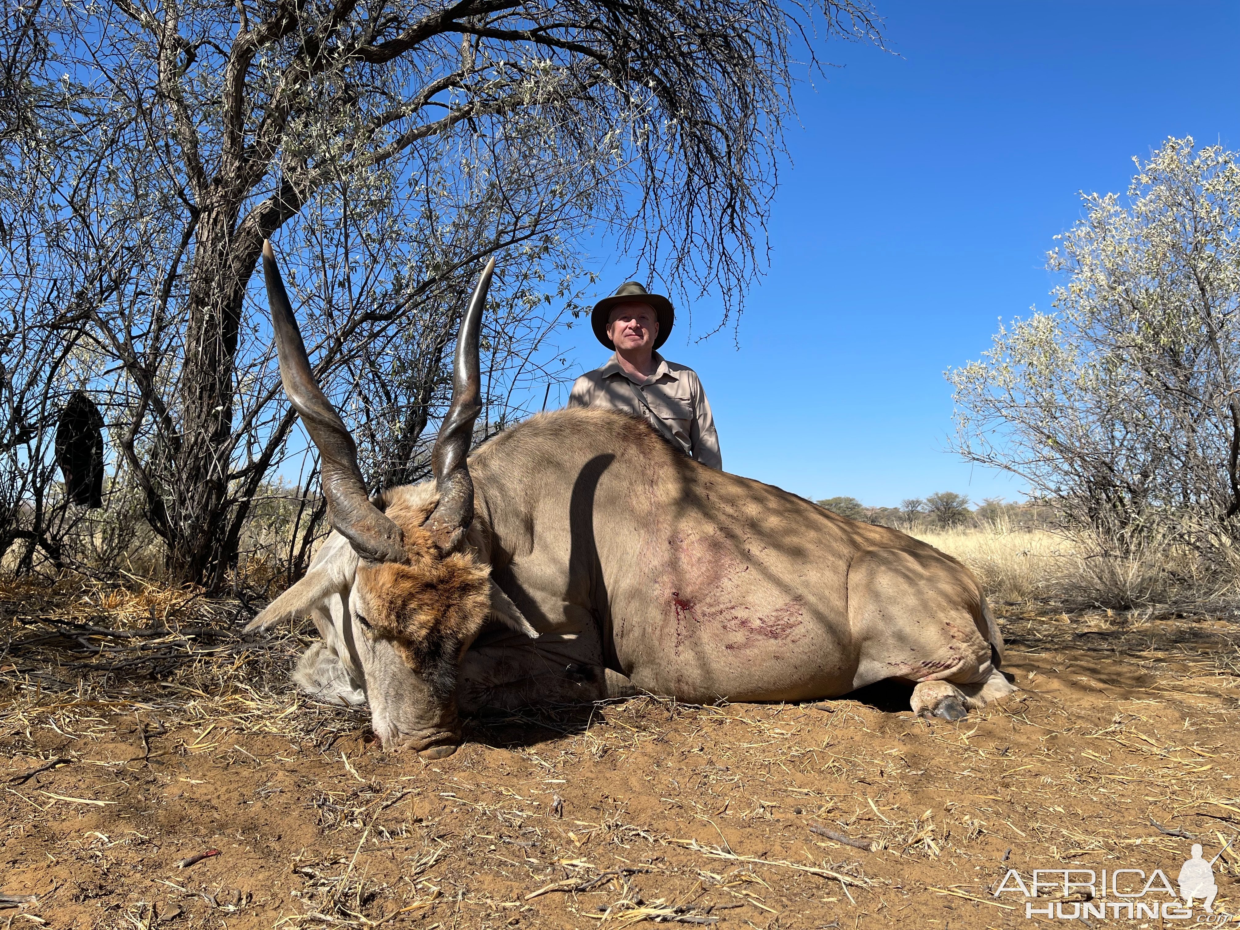 Eland Hunt Namibia