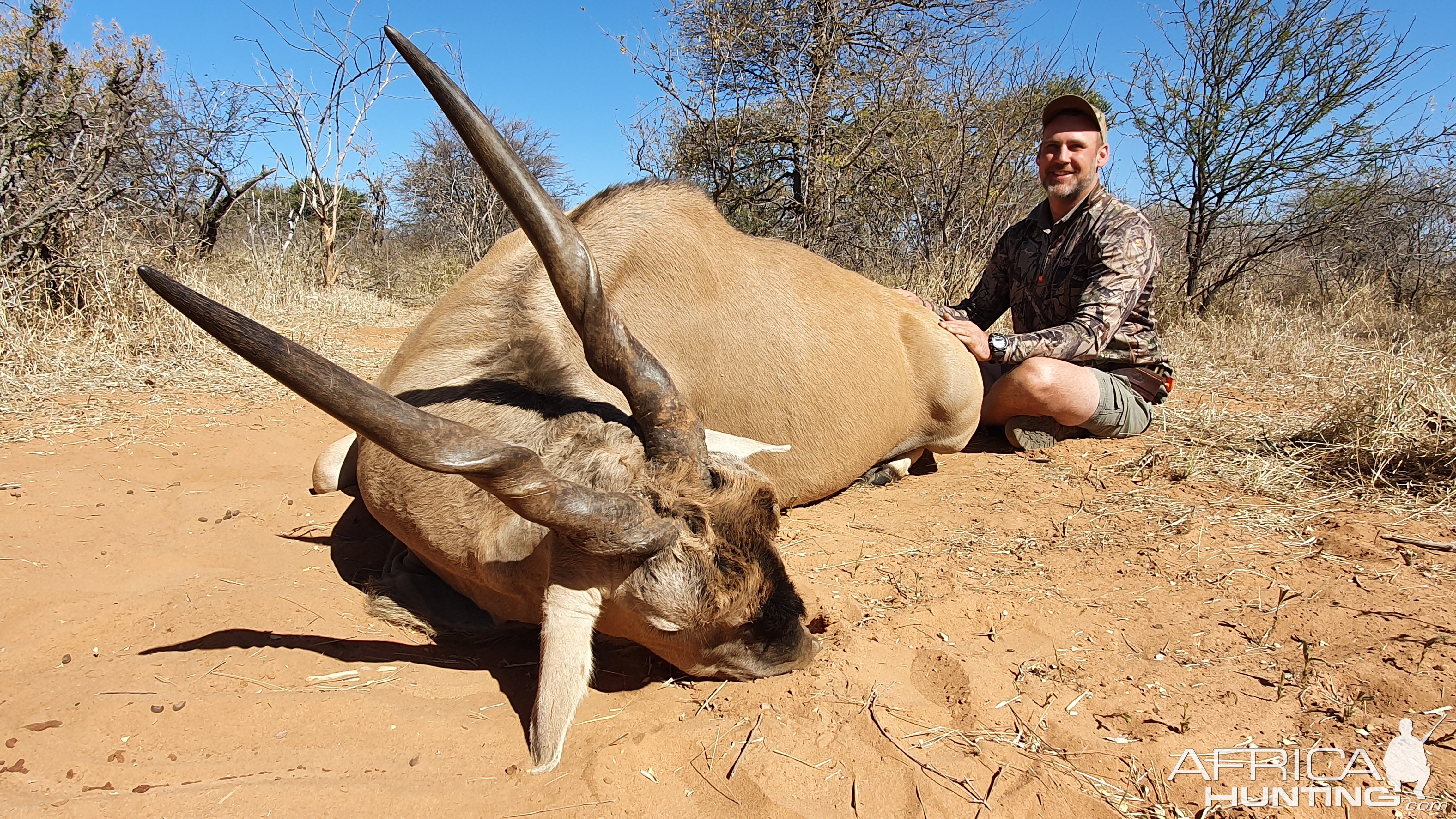 Eland Hunt South Africa