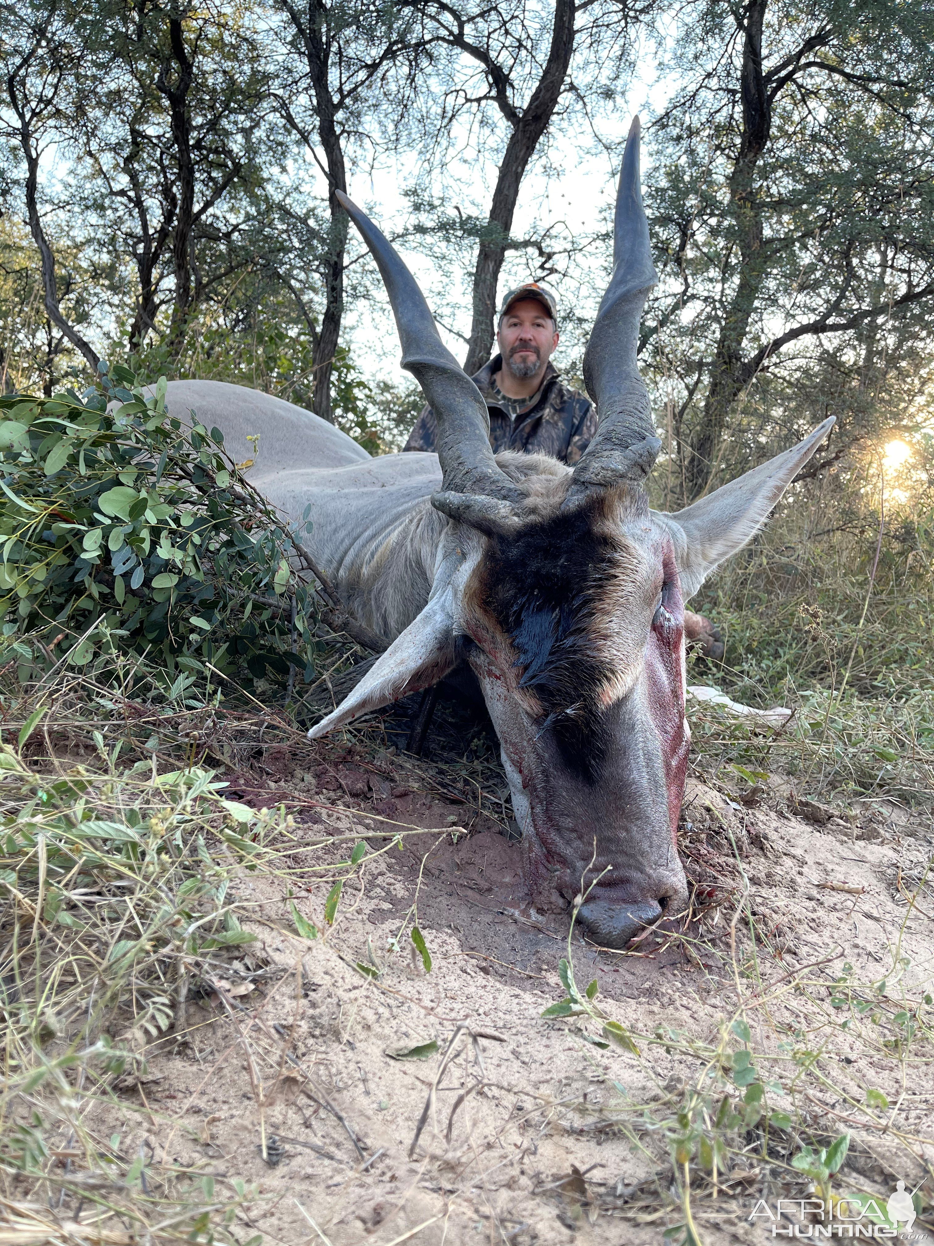 Eland Hunt South Africa