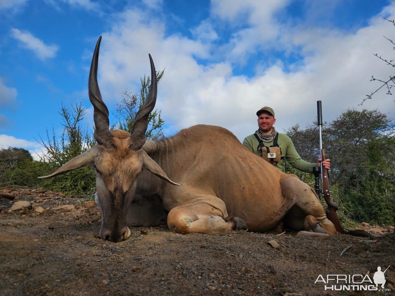 Eland Hunt South Africa