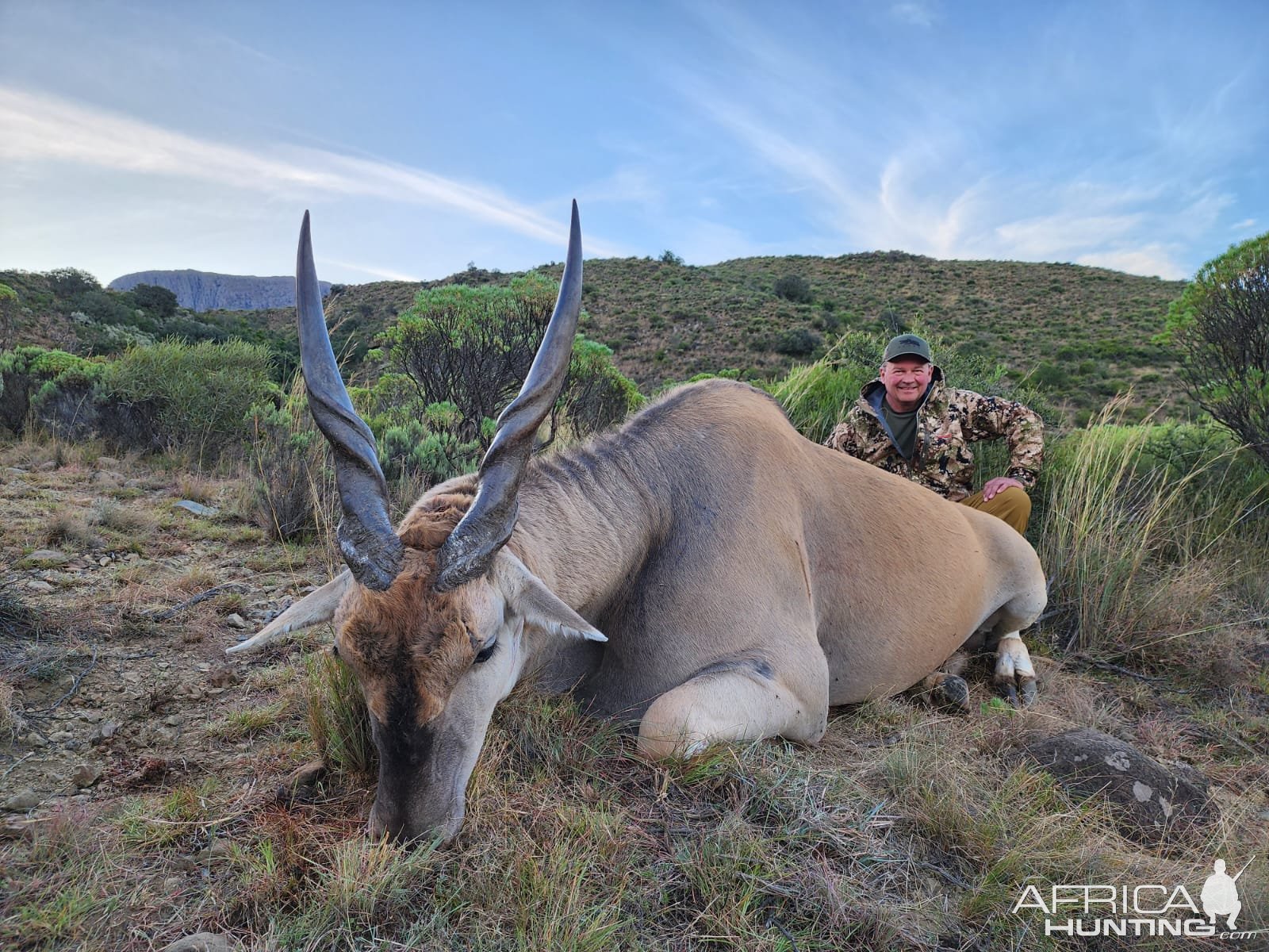 Eland Hunt South Africa