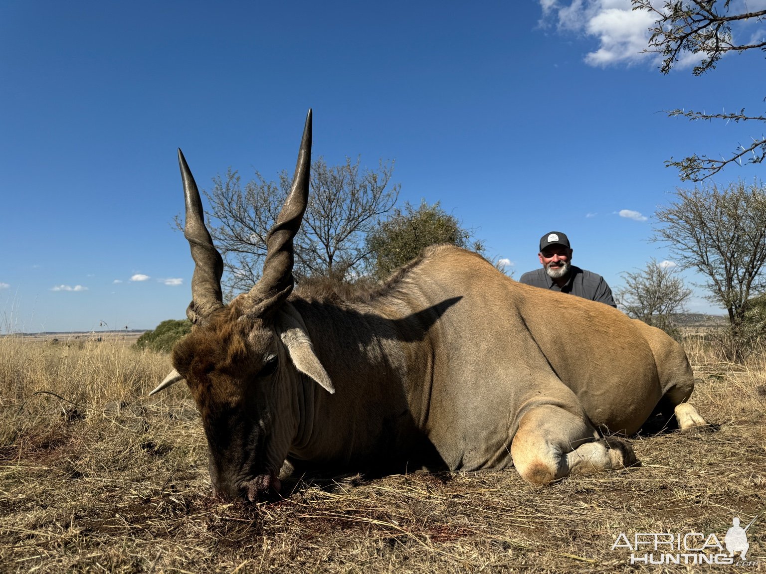 Eland Hunt South Africa