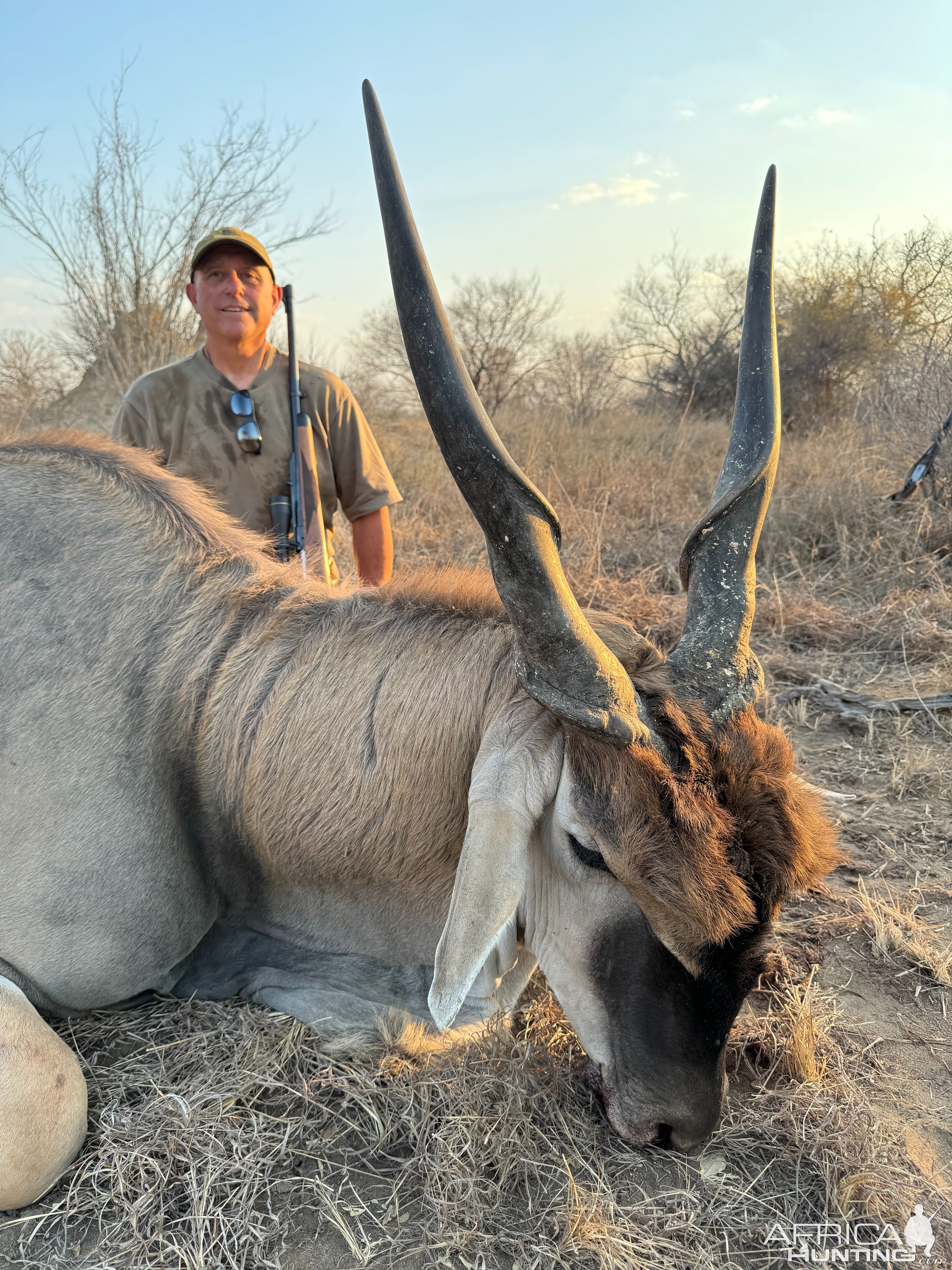 Eland Hunt South Africa