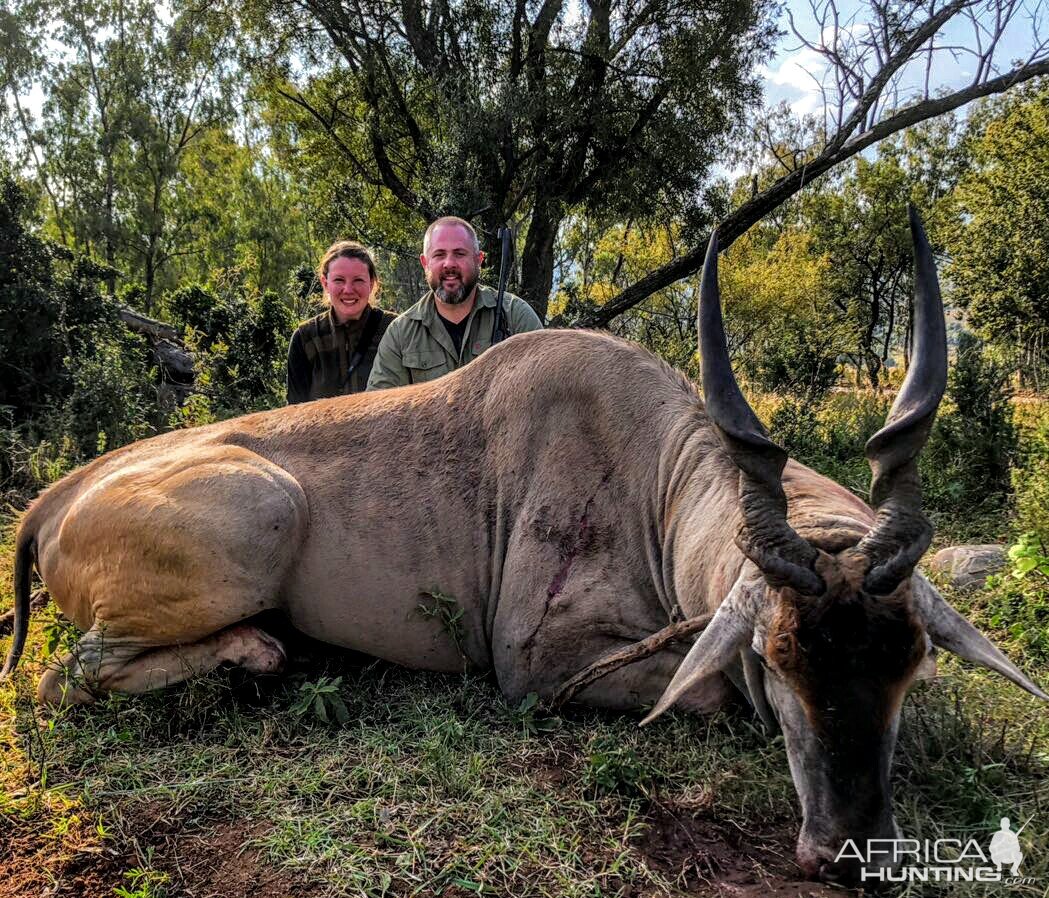 Eland Hunt South Africa