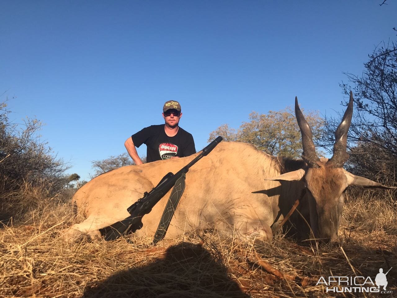 Eland Hunt South Africa