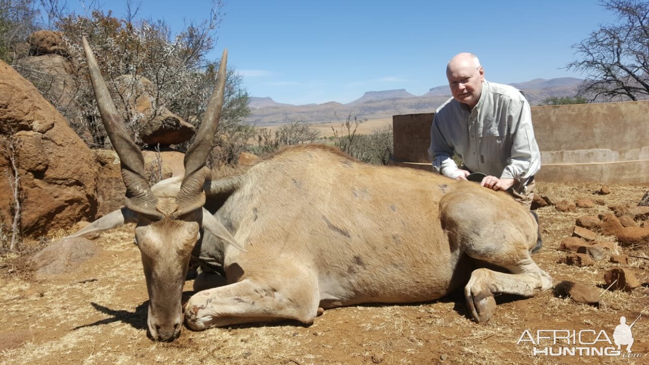 Eland Hunt South Africa