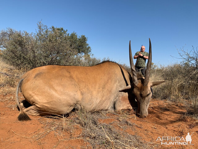 Eland Hunt South Africa