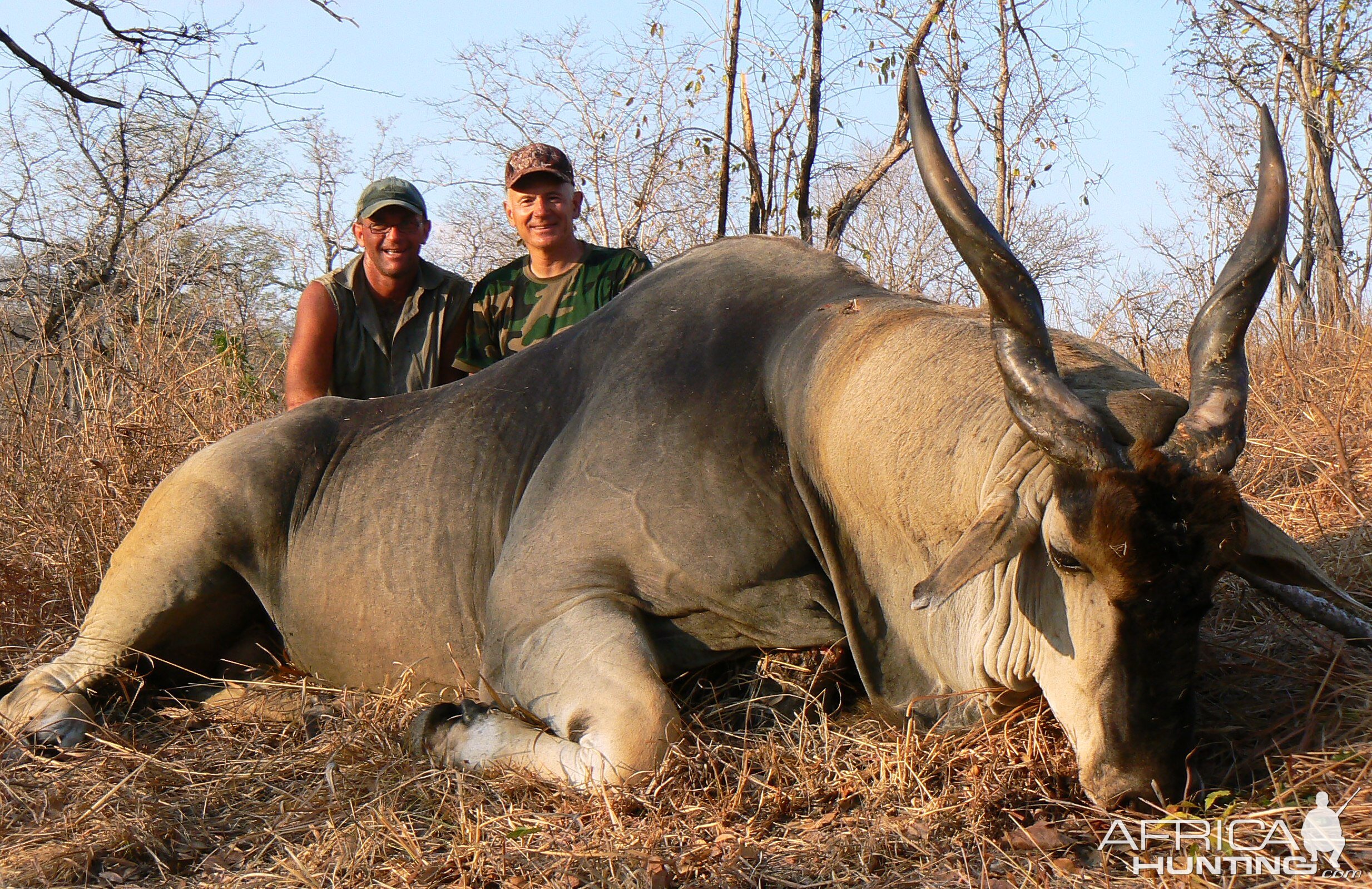 Eland Hunt - Tanzania