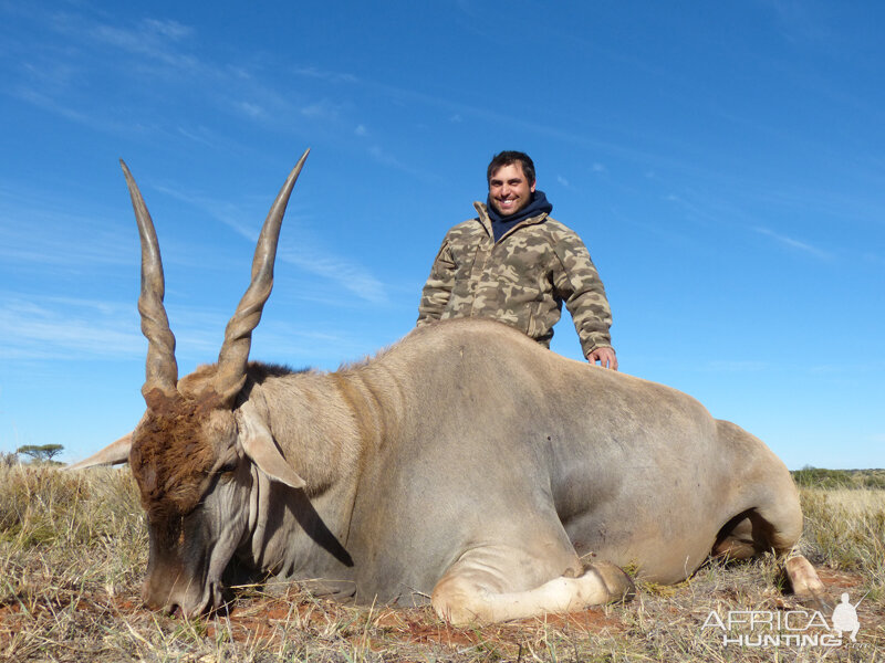 Eland hunt with Wintershoek Johnny Vivier Safaris