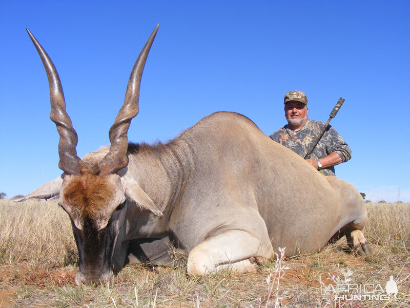 Eland hunt with Wintershoek Johnny Vivier Safaris