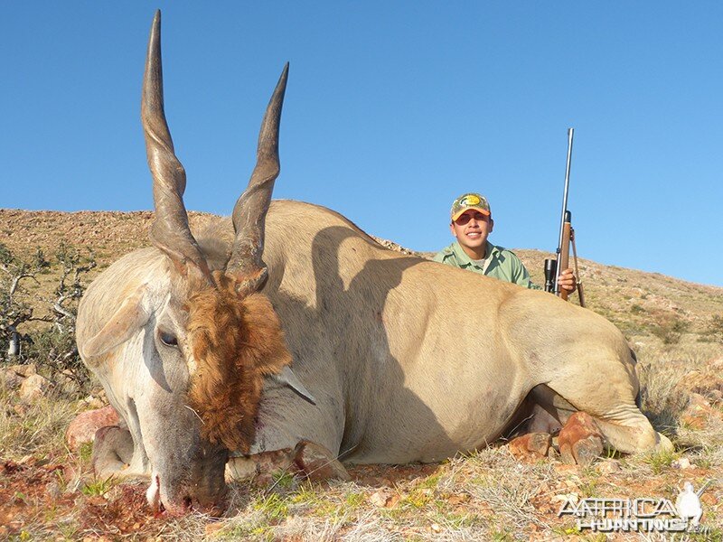 Eland hunt with Wintershoek Johnny Vivier Safaris