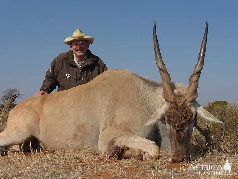 Eland hunt with Wintershoek Johnny Vivier Safaris