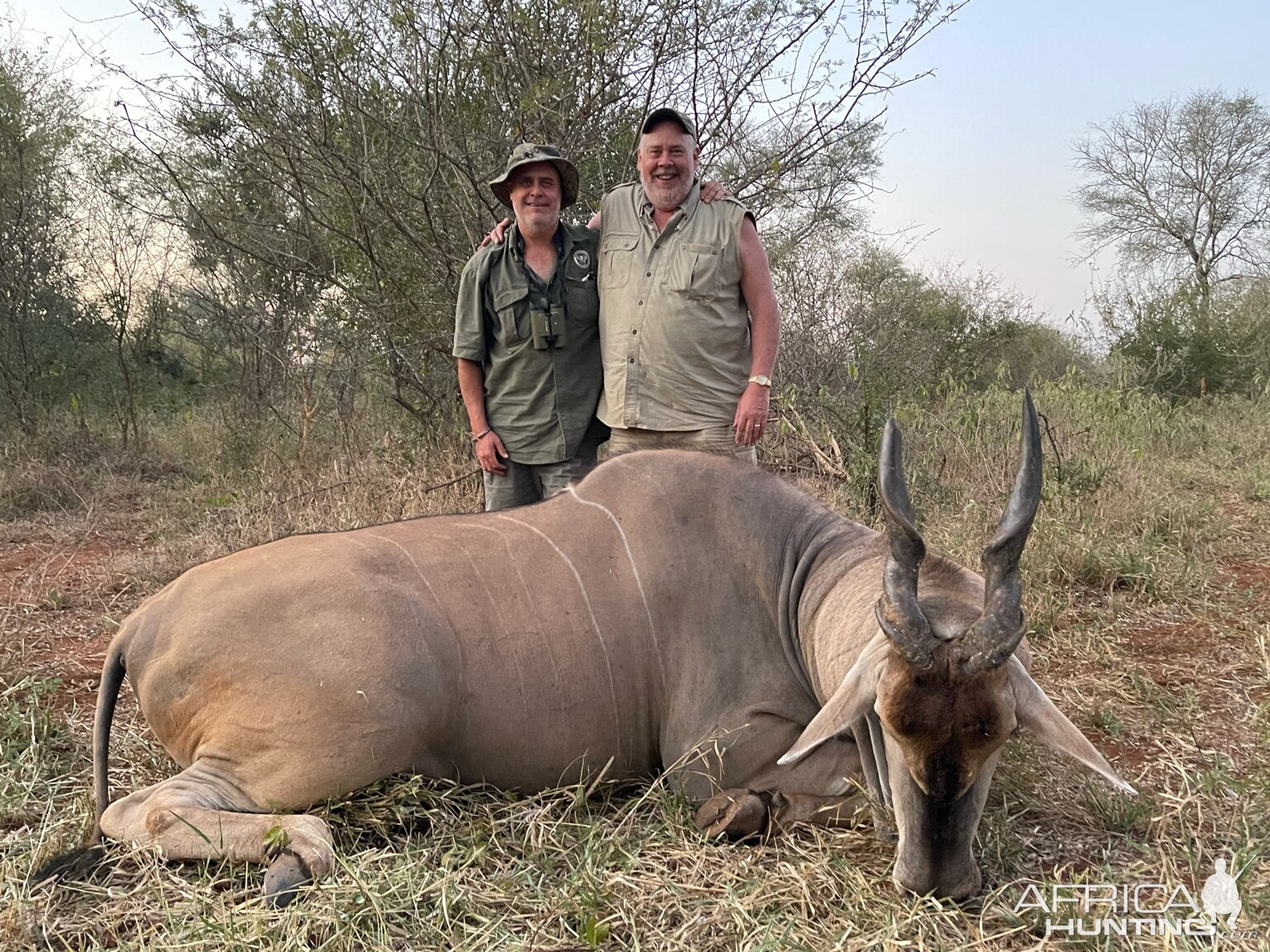 Eland Hunt Zimbabwe