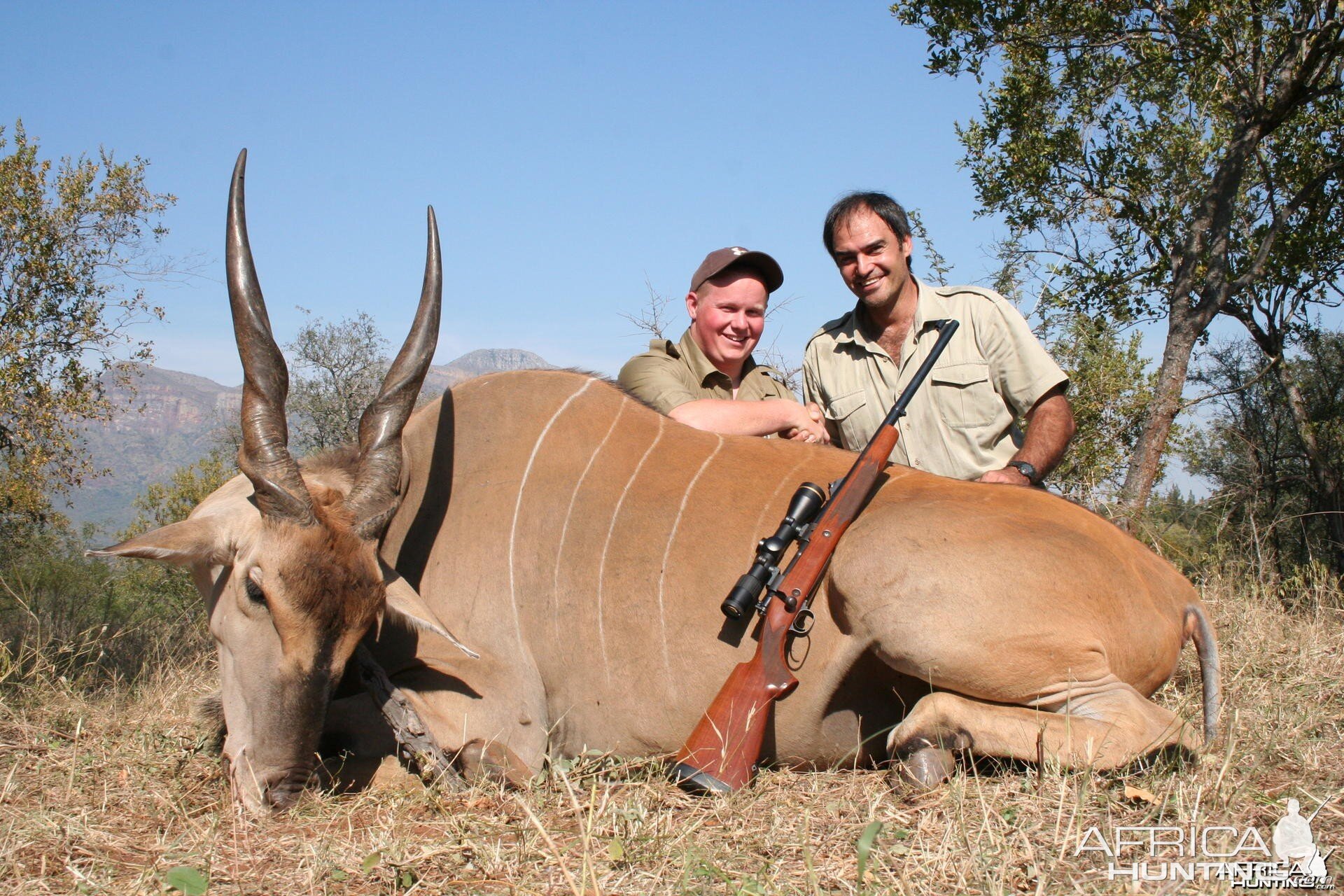 Eland hunted in Limpopo SA