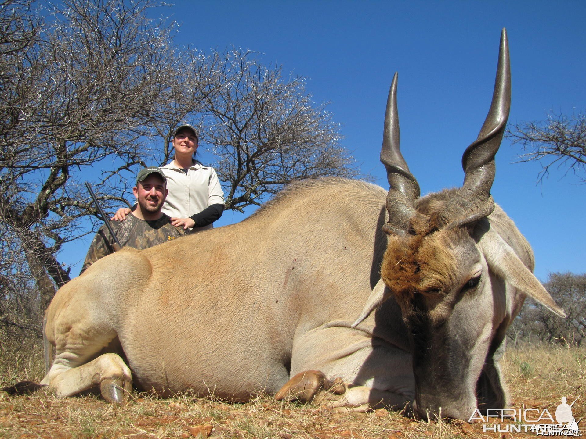 Eland hunted with Hartzview Safaris SA