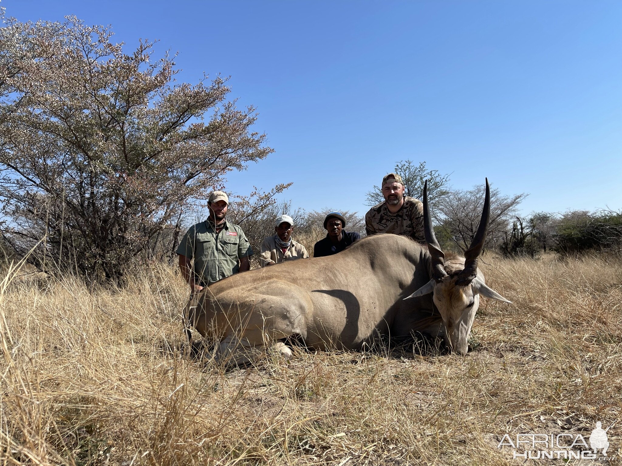 Eland Hunting Botswana