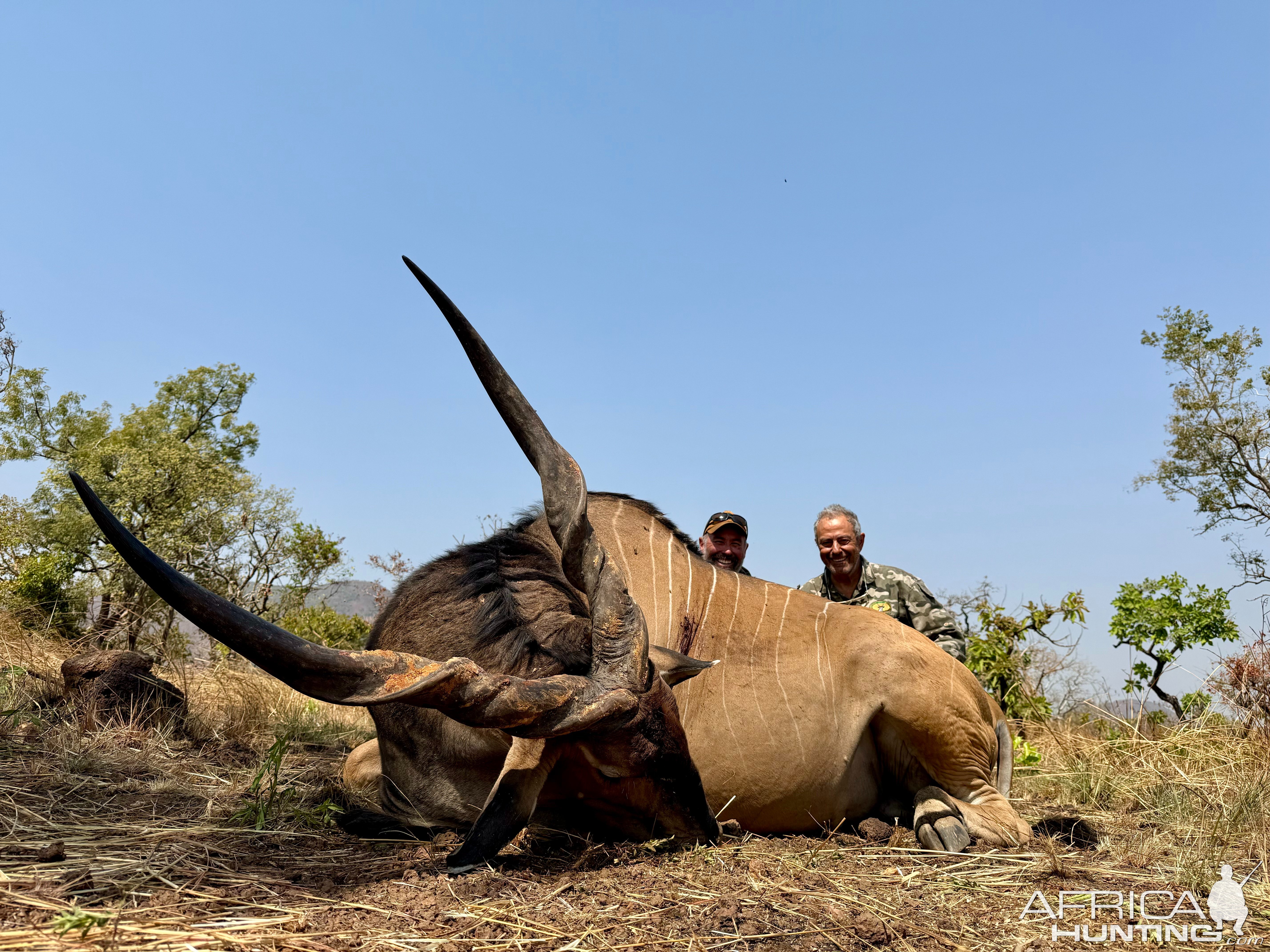 Eland Hunting Cameroon