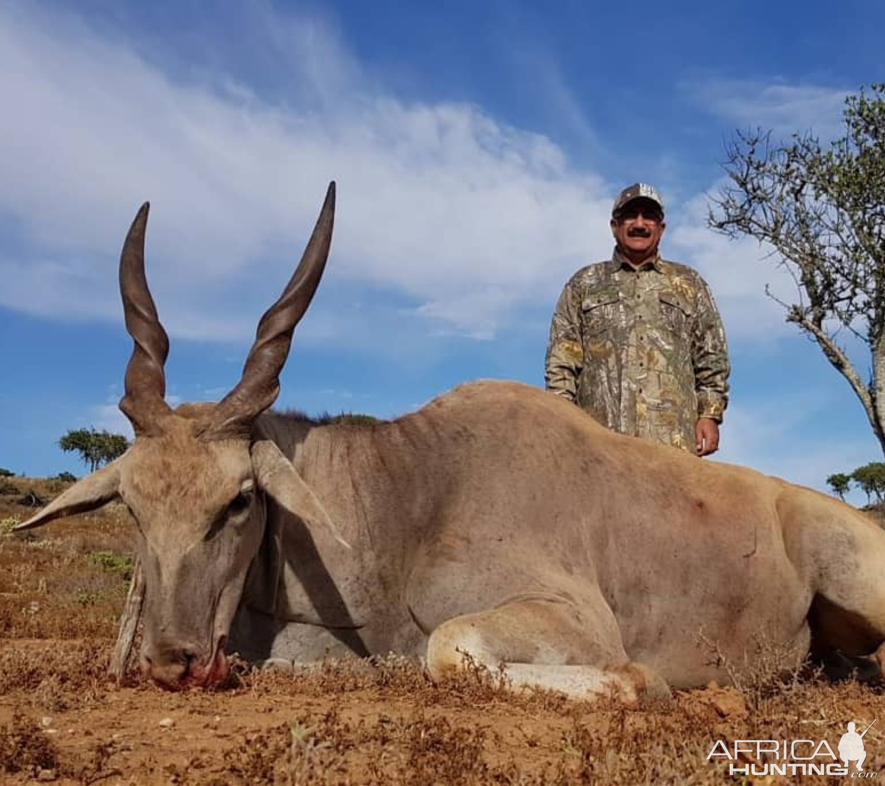 Eland Hunting Eastern Cape South Africa