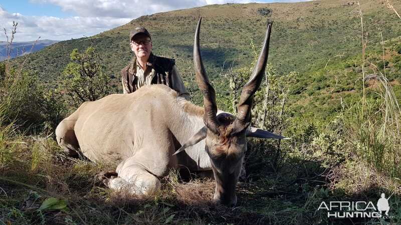 Eland Hunting Eastern Cape South Africa