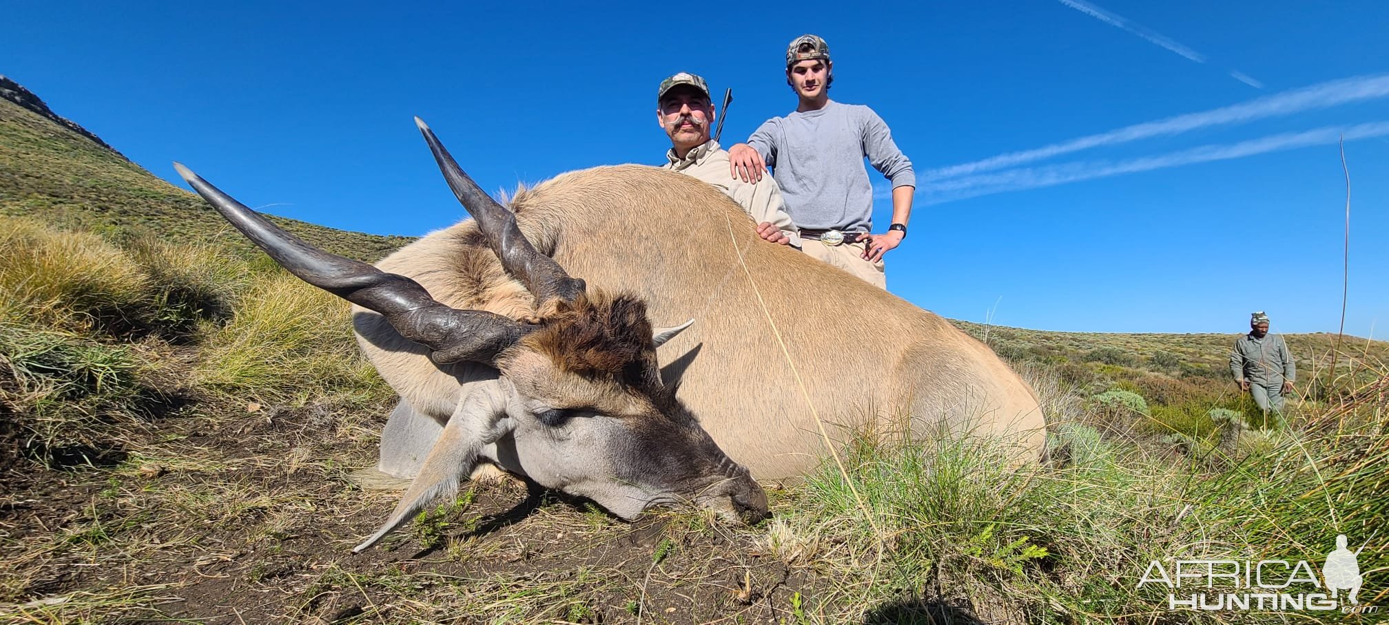 Eland Hunting Eastern Cape South Africa
