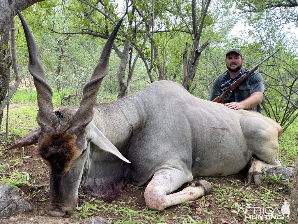 Eland Hunting Limpopo South Africa