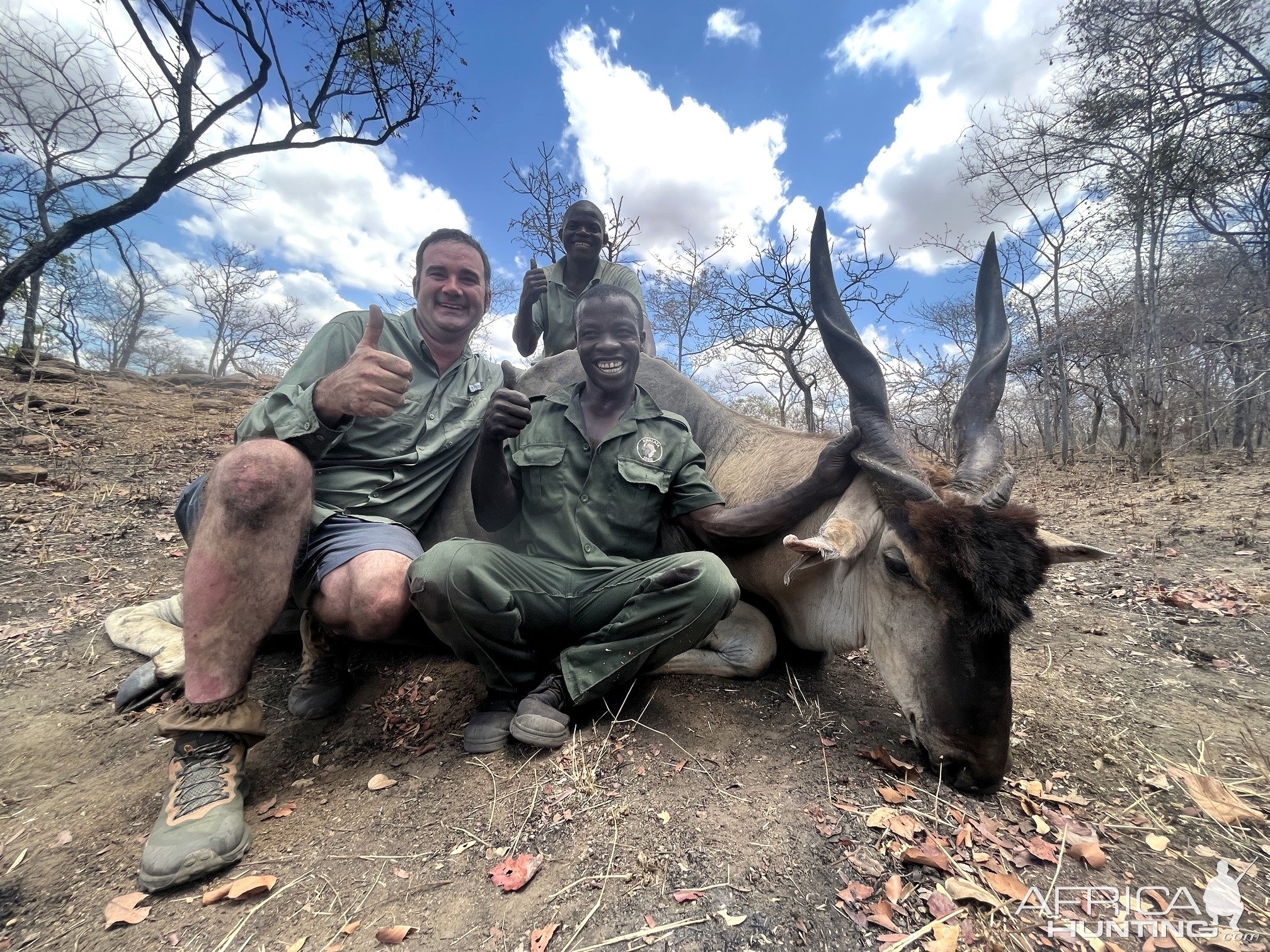 Eland Hunting Mozambique