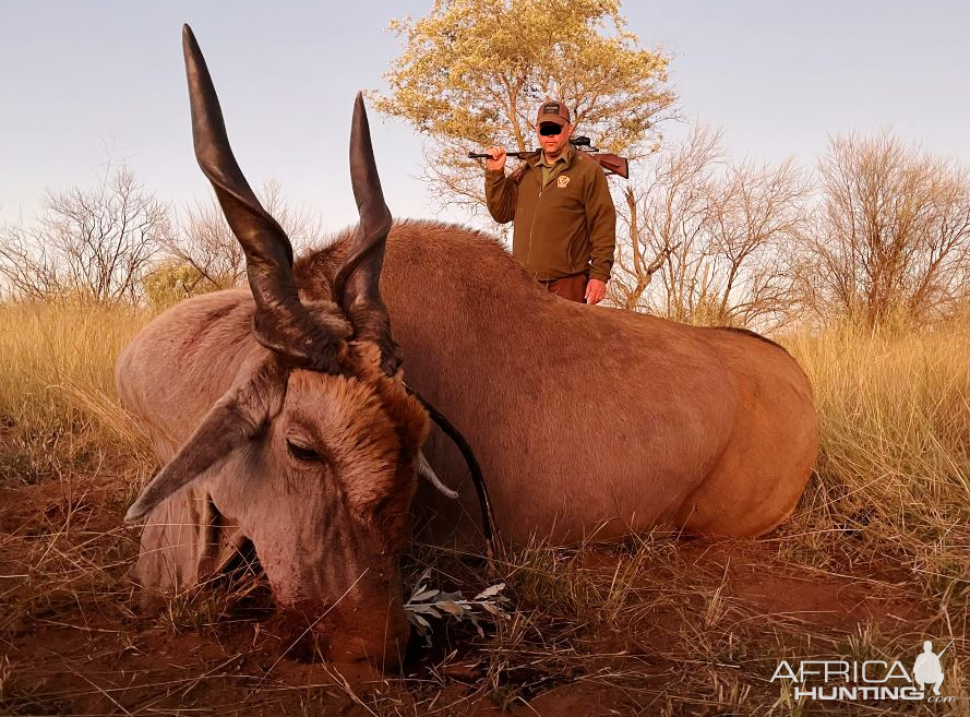 Eland Hunting Namibia