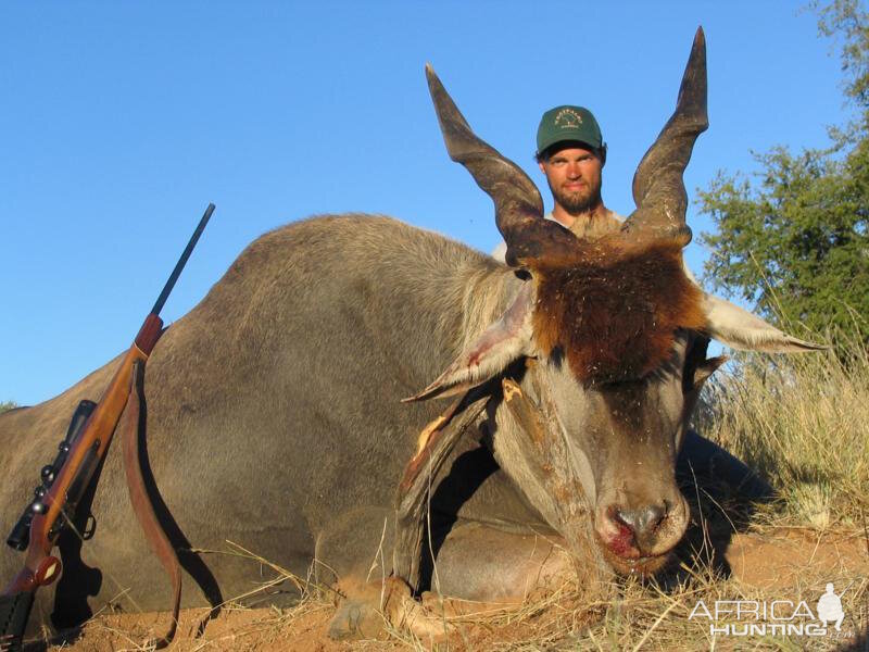 Eland Hunting Namibia