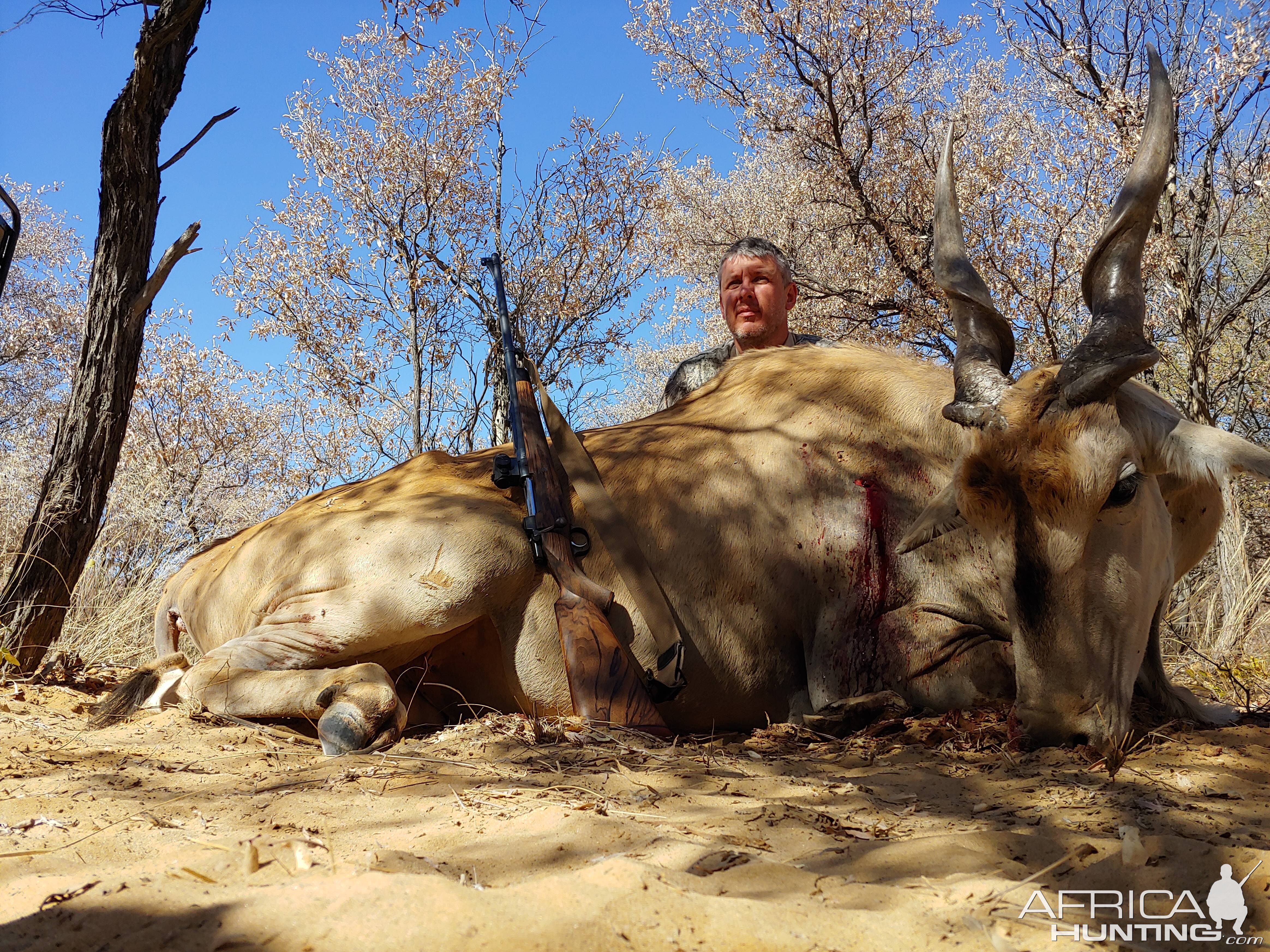 Eland Hunting Namibia