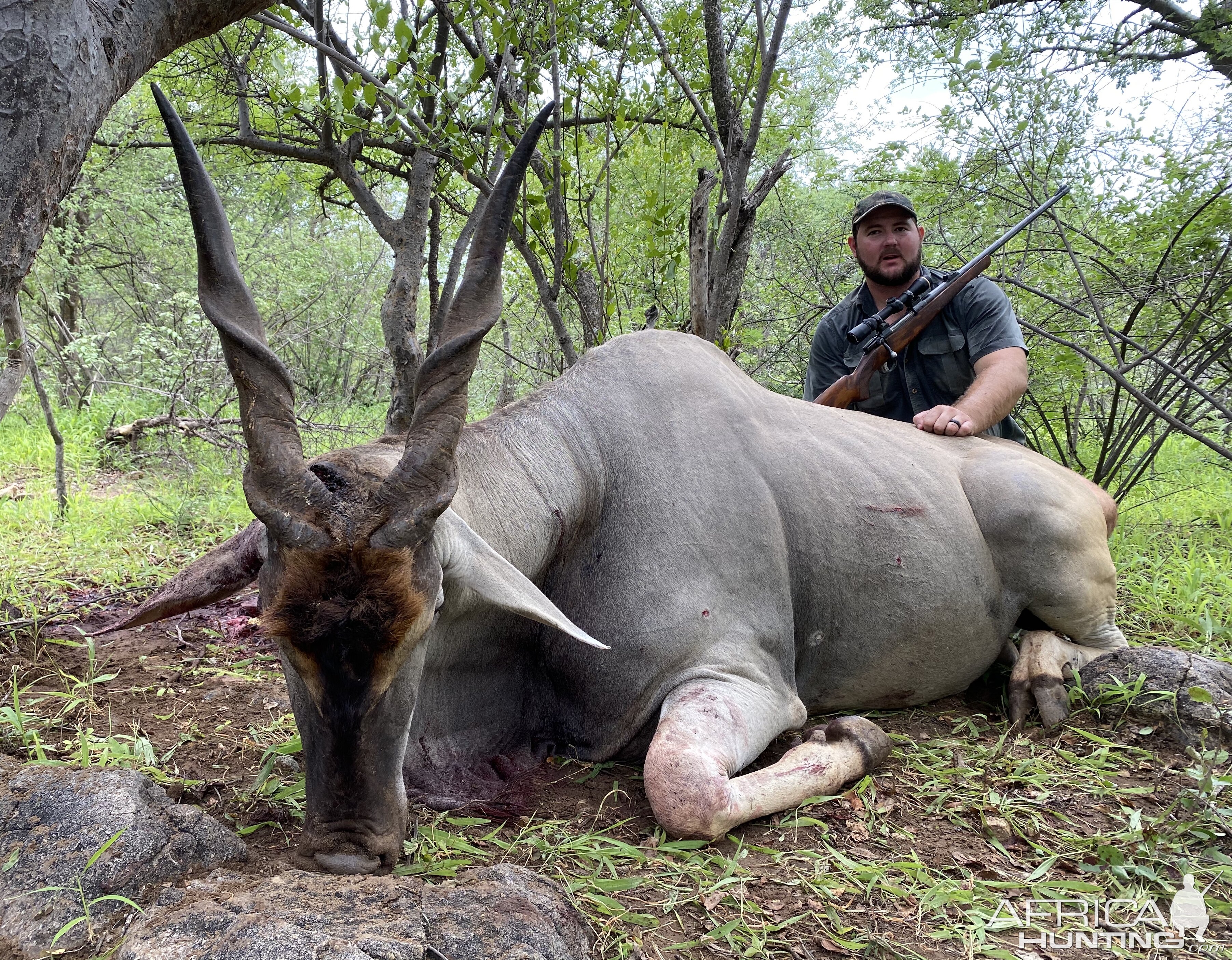 Eland Hunting South Africa