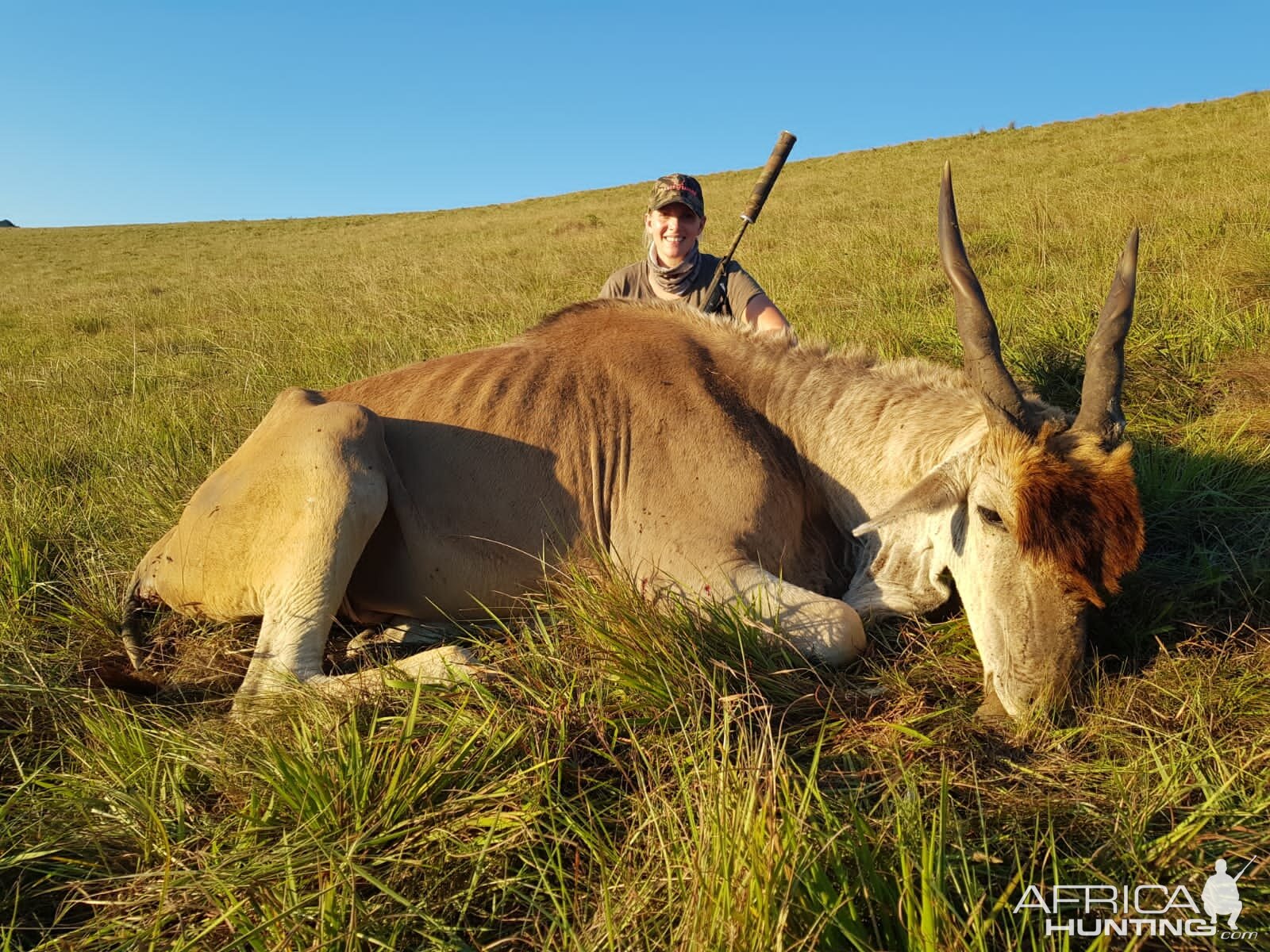 Eland Hunting South Africa | AfricaHunting.com