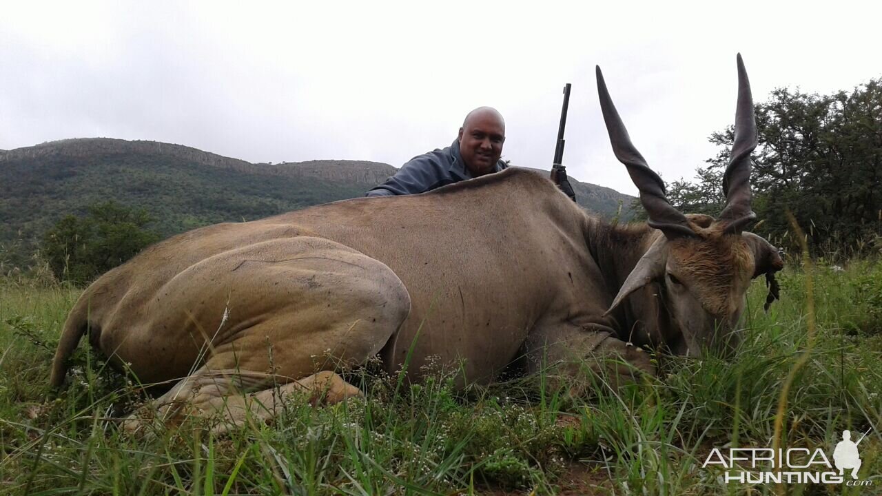 Eland Hunting South Africa