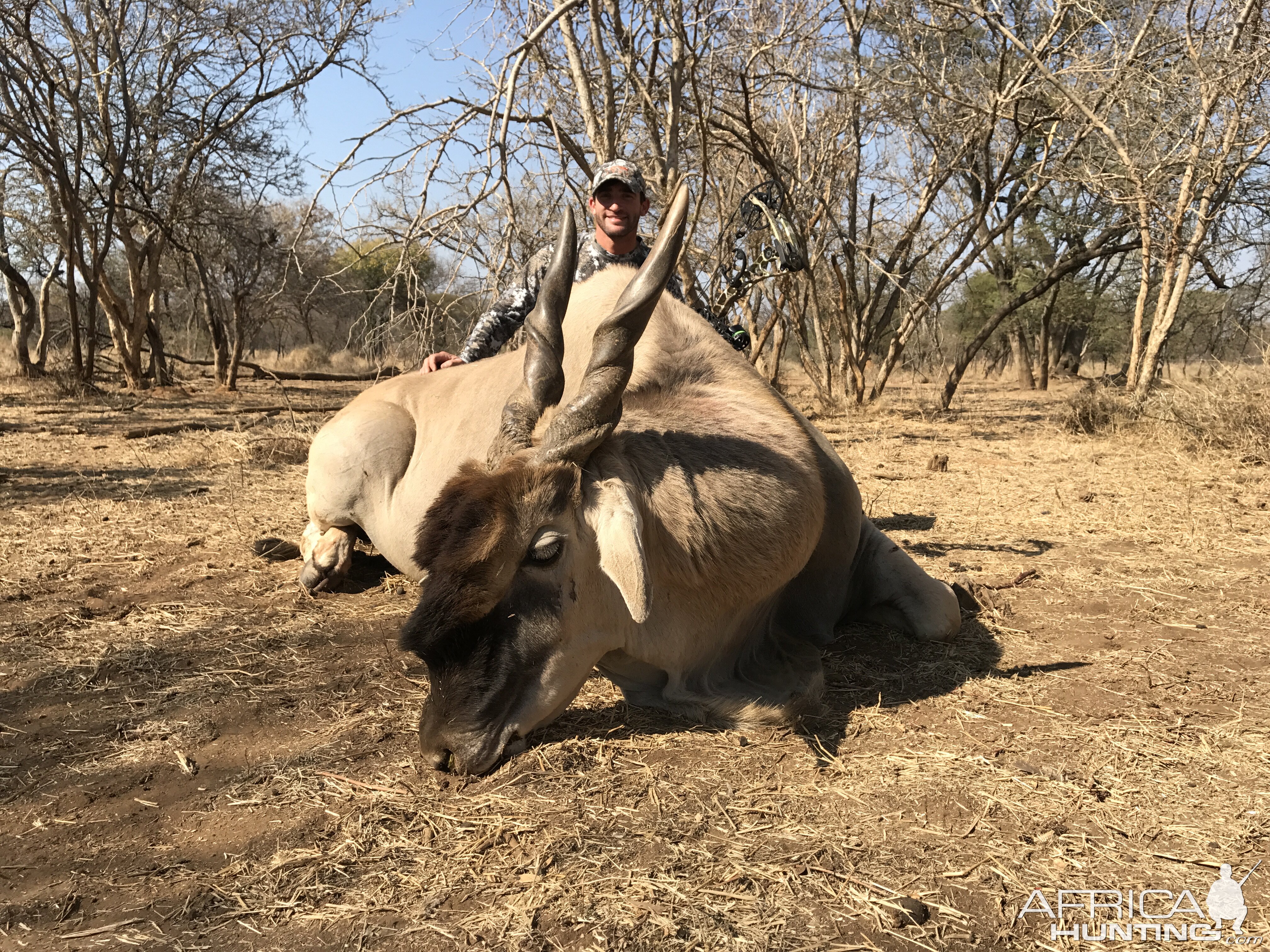 Eland Hunting South Africa