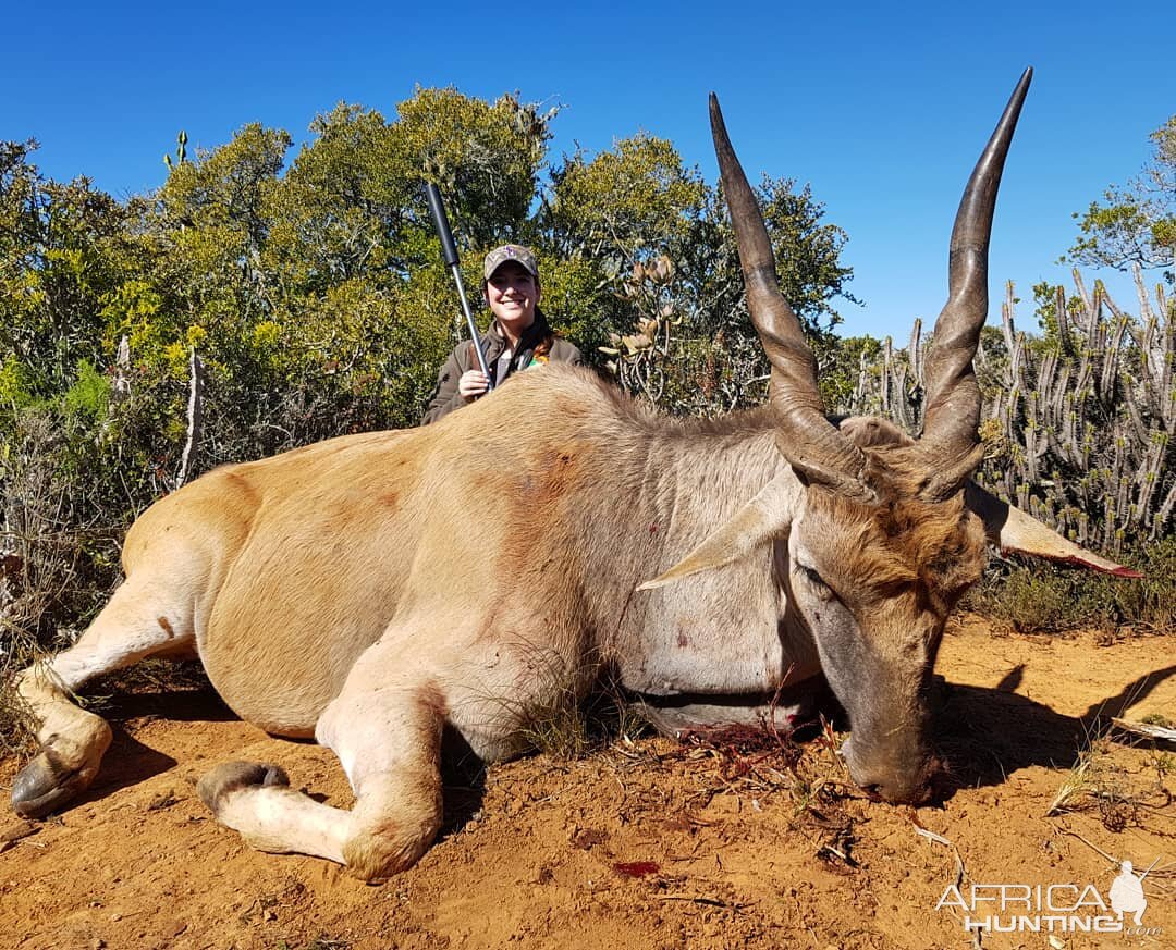 Eland Hunting South Africa