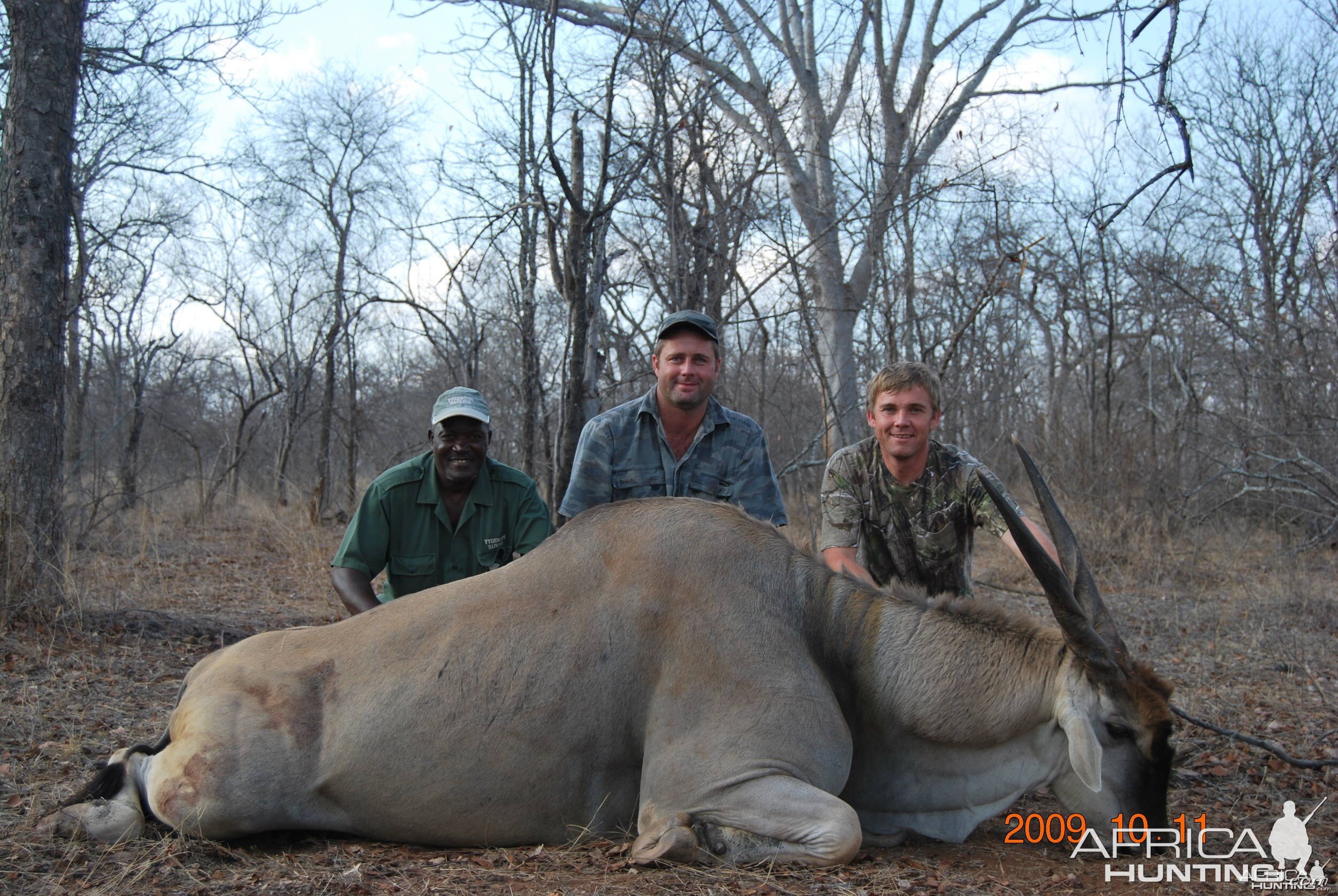 Eland Limpopo