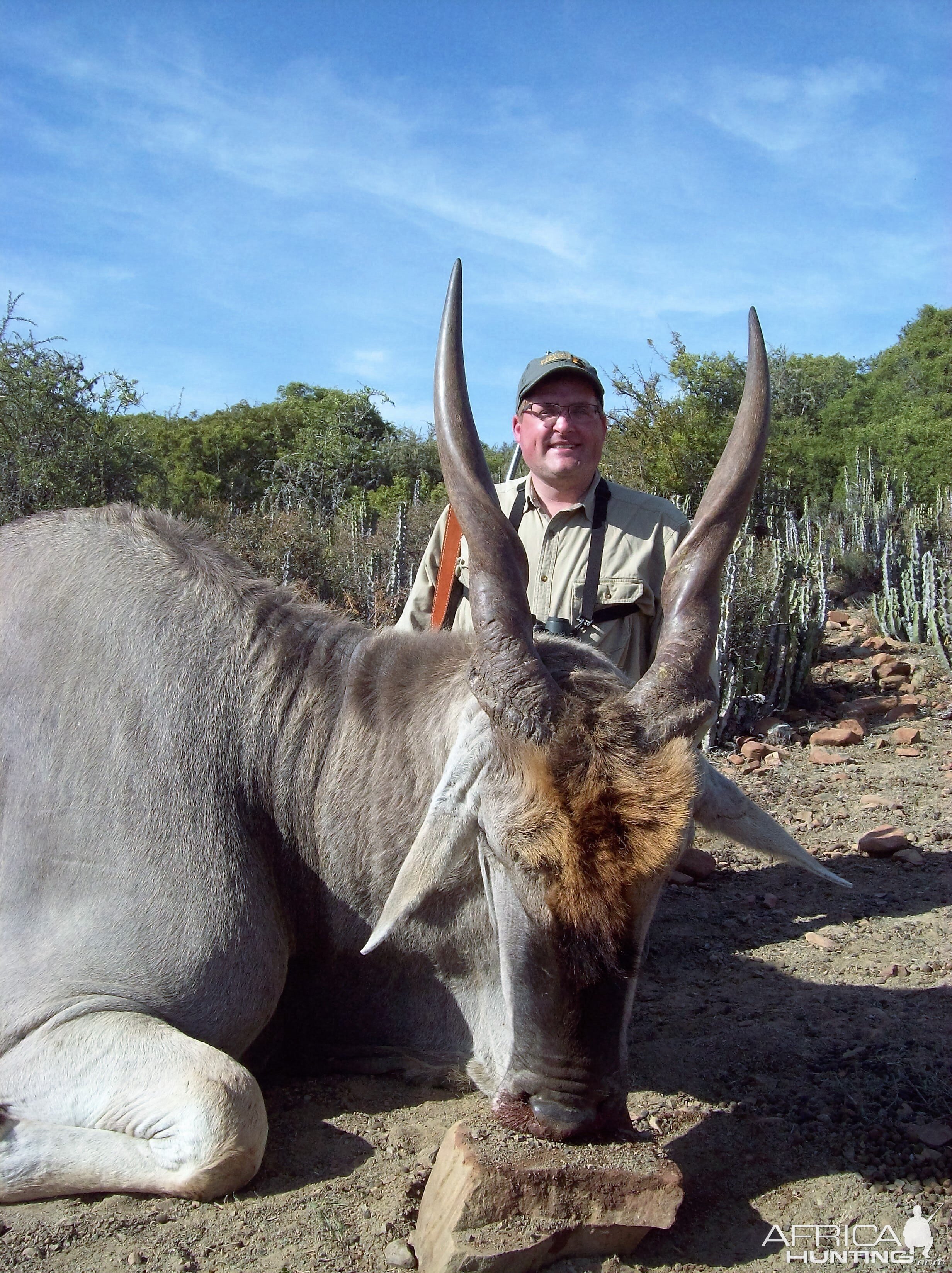 Eland South Africa Hunting