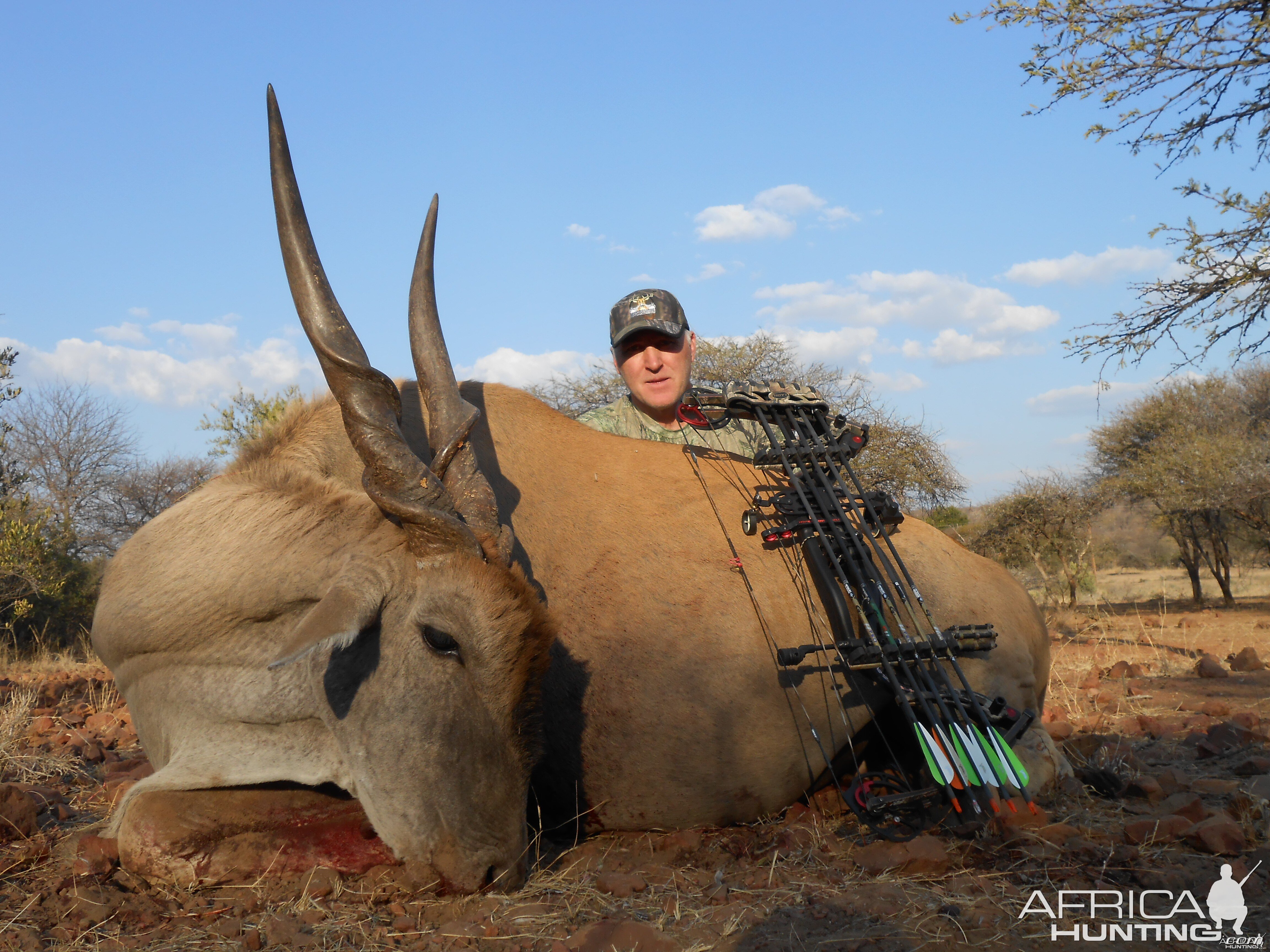 Eland still in awe of the size of these things