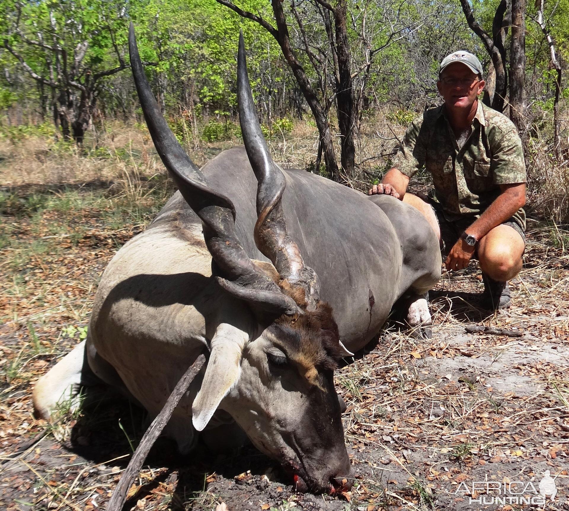 Eland Tanzania