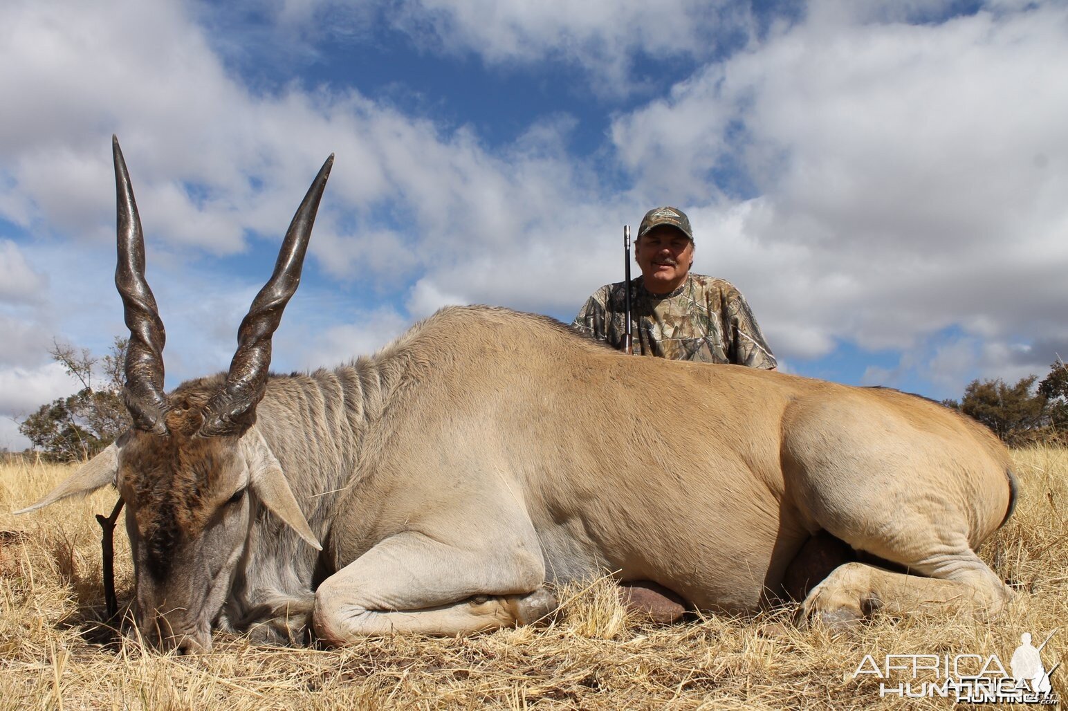 Eland