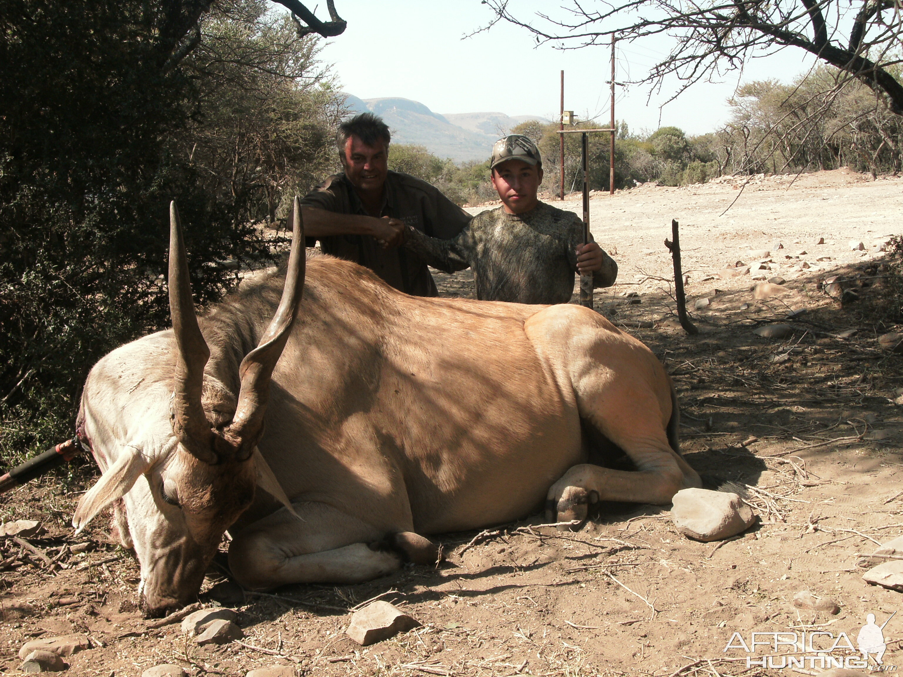 Eland