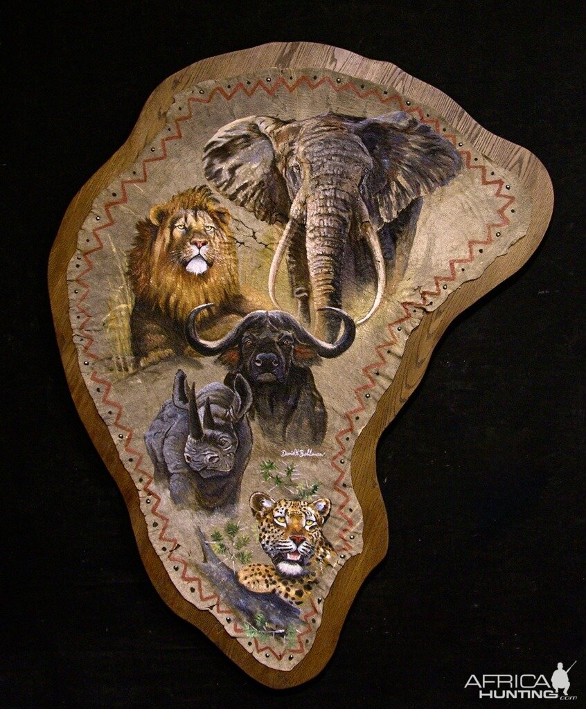 Elephant Ear Painting Taxidermy