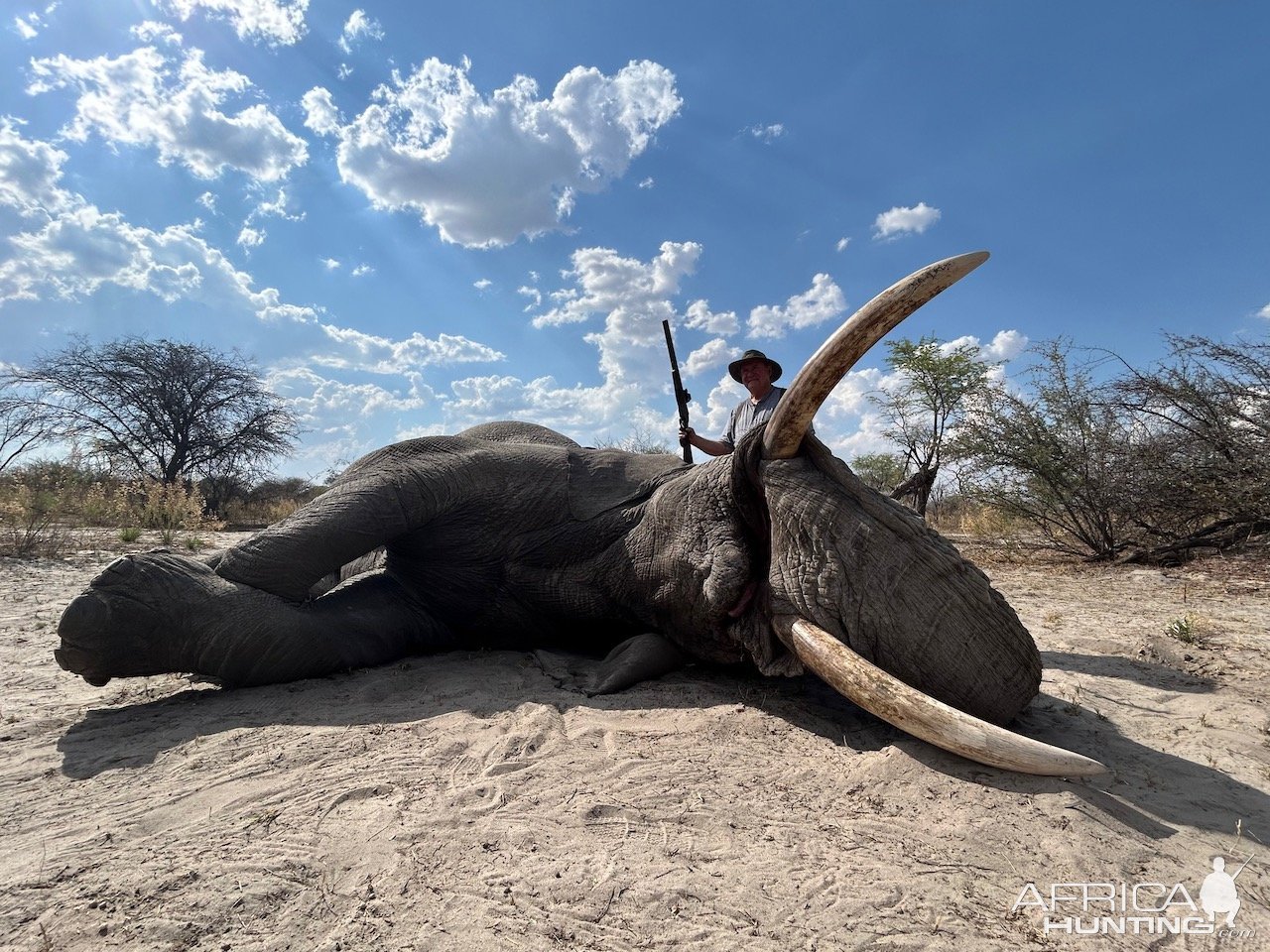 Elephant Hunt Botswana