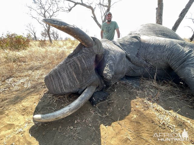 Elephant Hunt Botswana