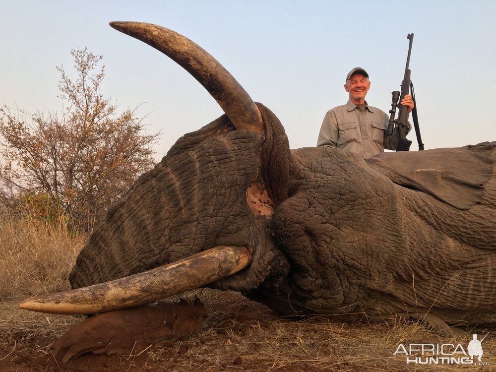 Elephant Hunt in South Africa