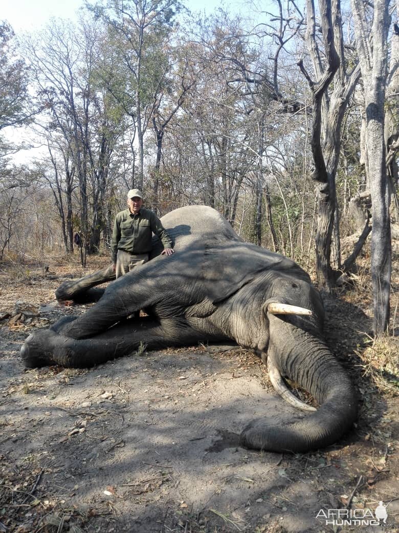 Elephant Hunt in Zimbabwe