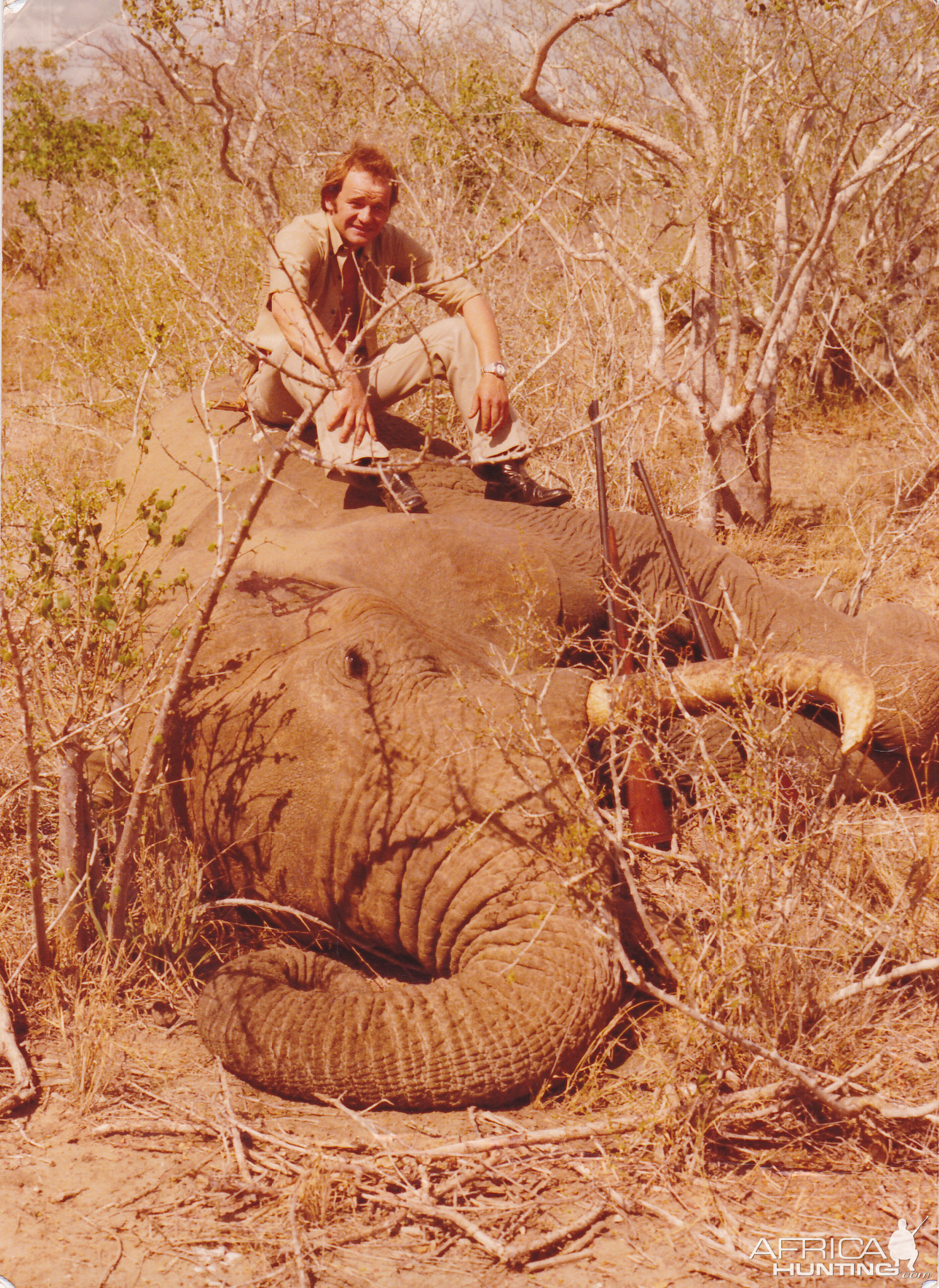 Elephant Hunt Kenya