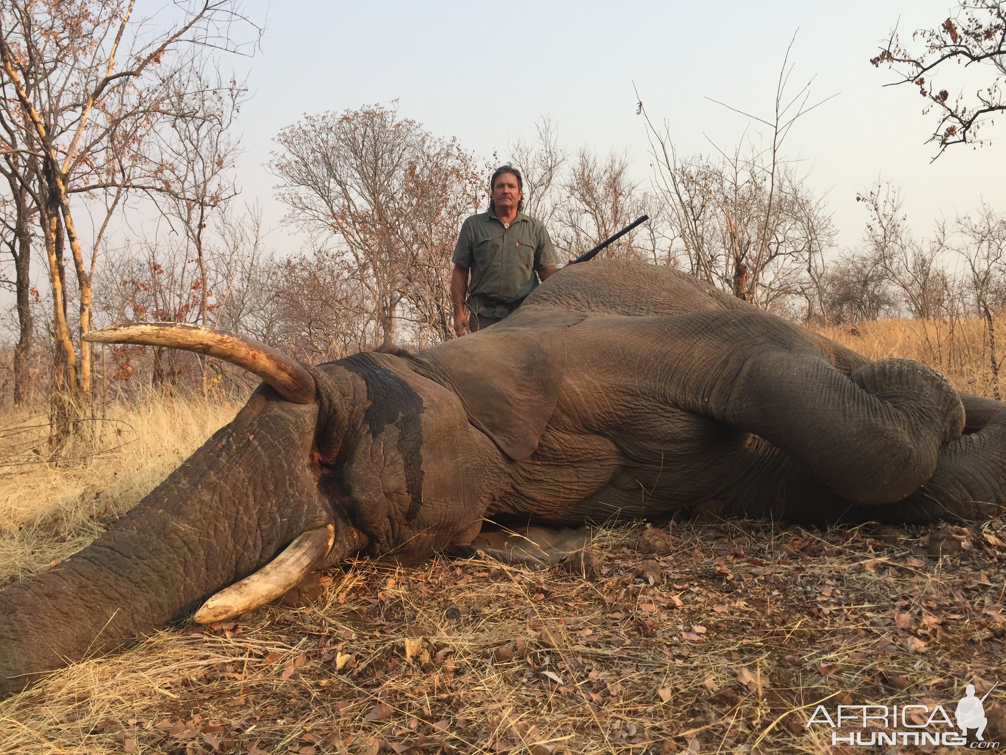 Elephant Hunt Matetsi Zimbabwe