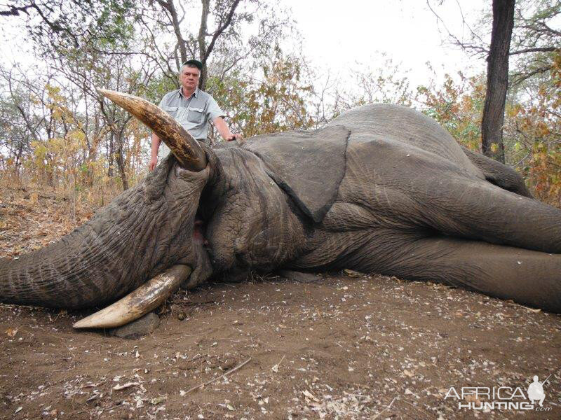 Elephant Hunt Mozambique