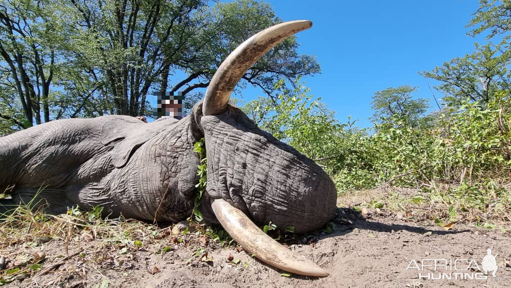 Elephant Hunt Namibia