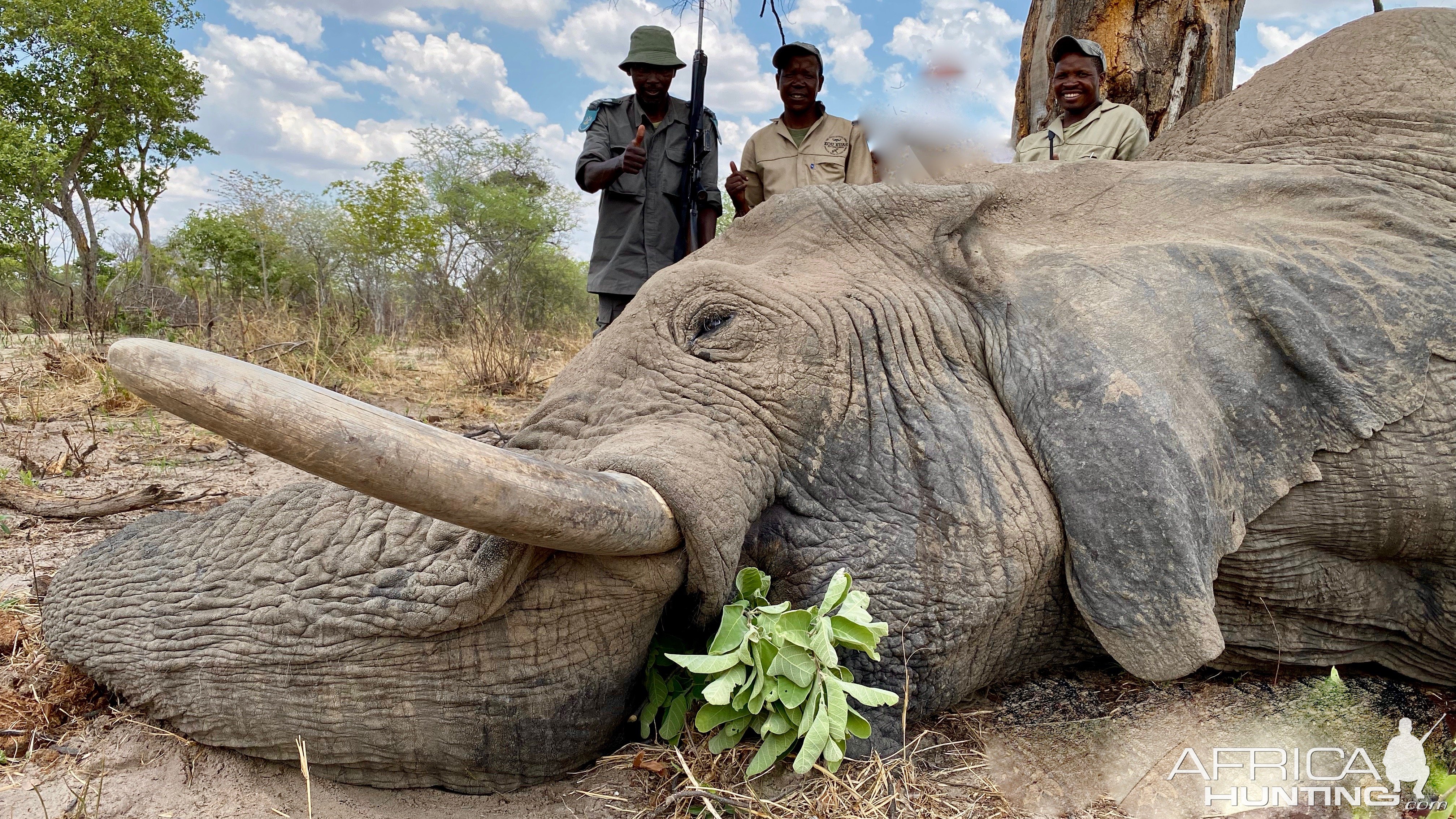 Elephant Hunt Namibia